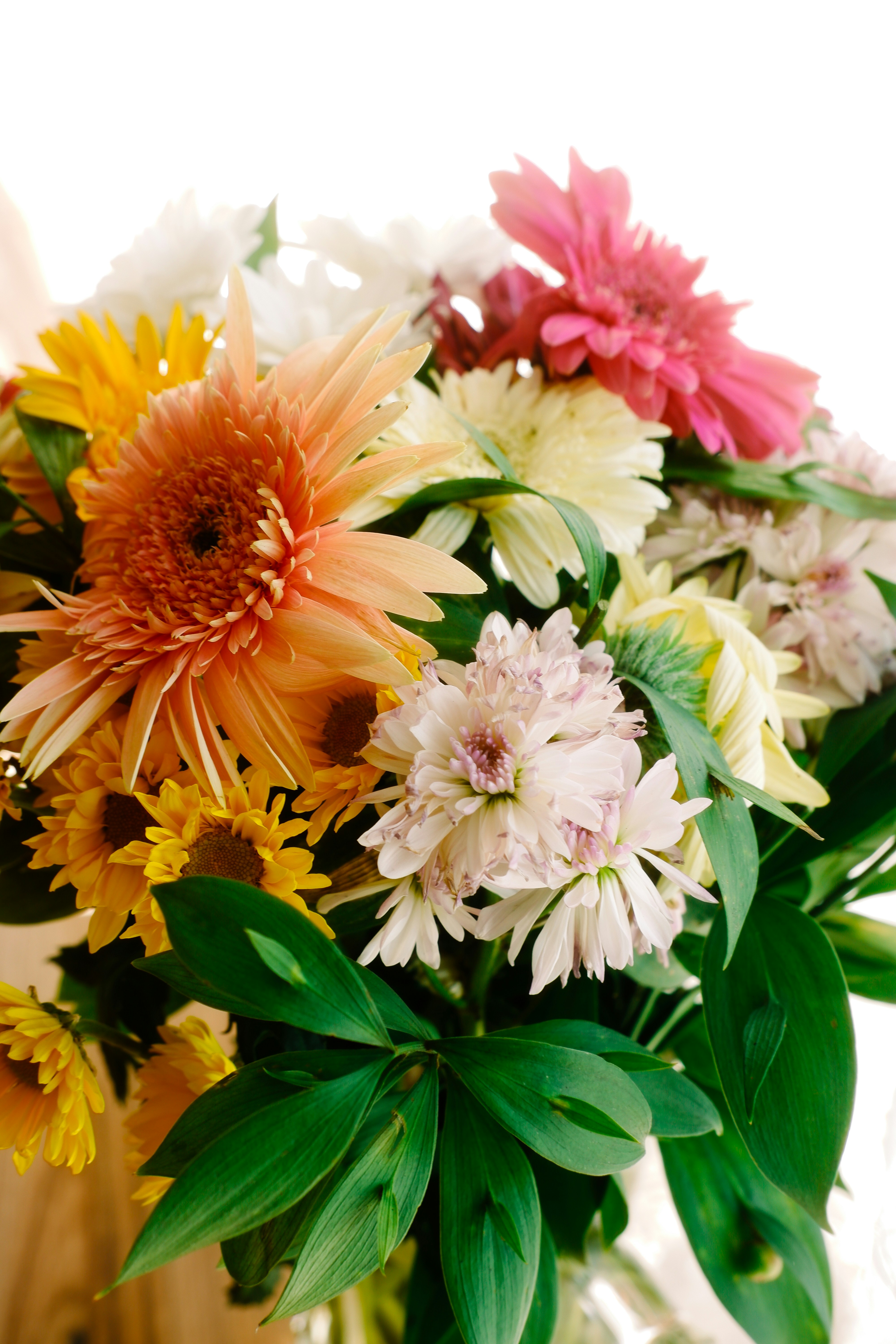 Photo by beyzaayurtkuran