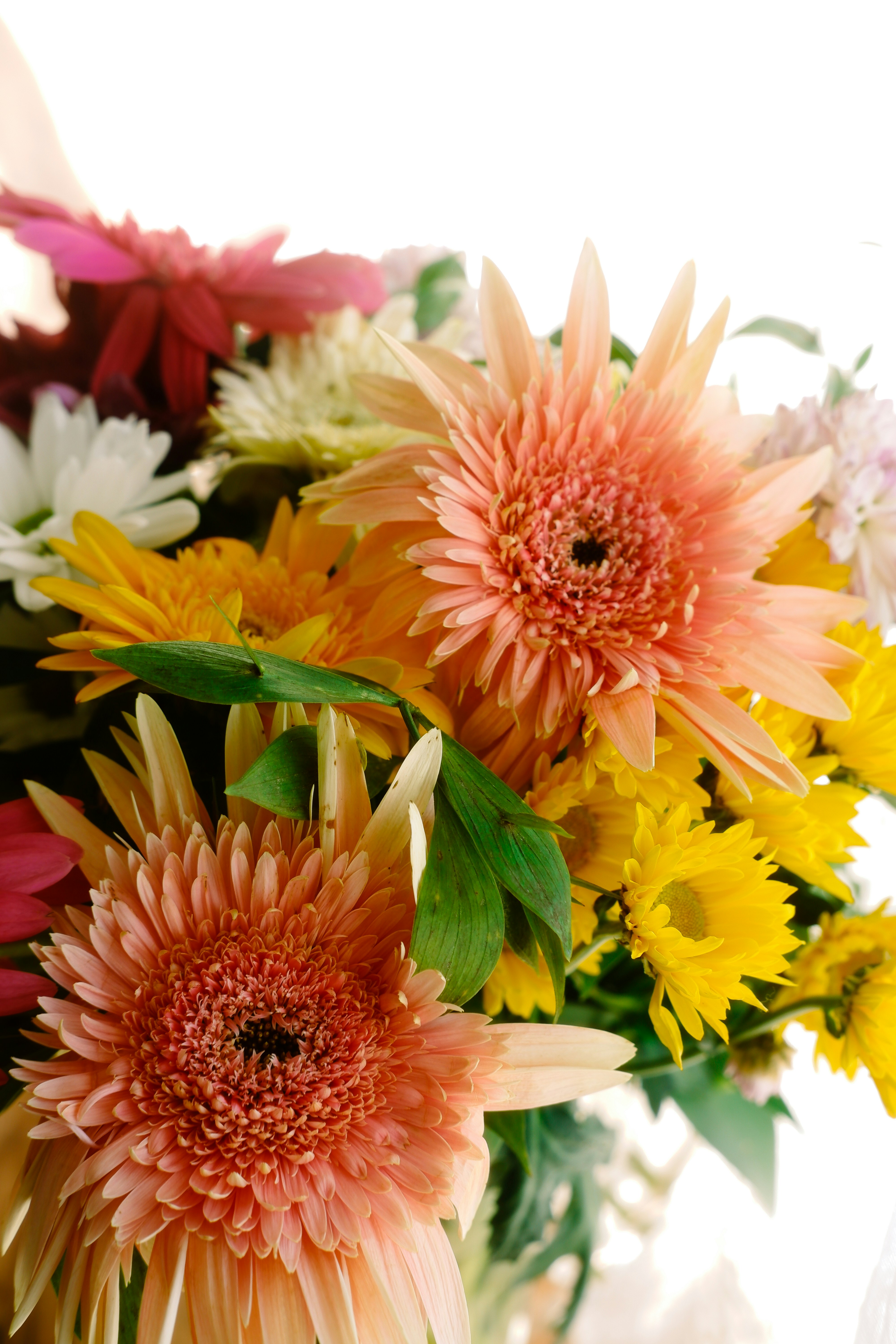 Photo by beyzaayurtkuran