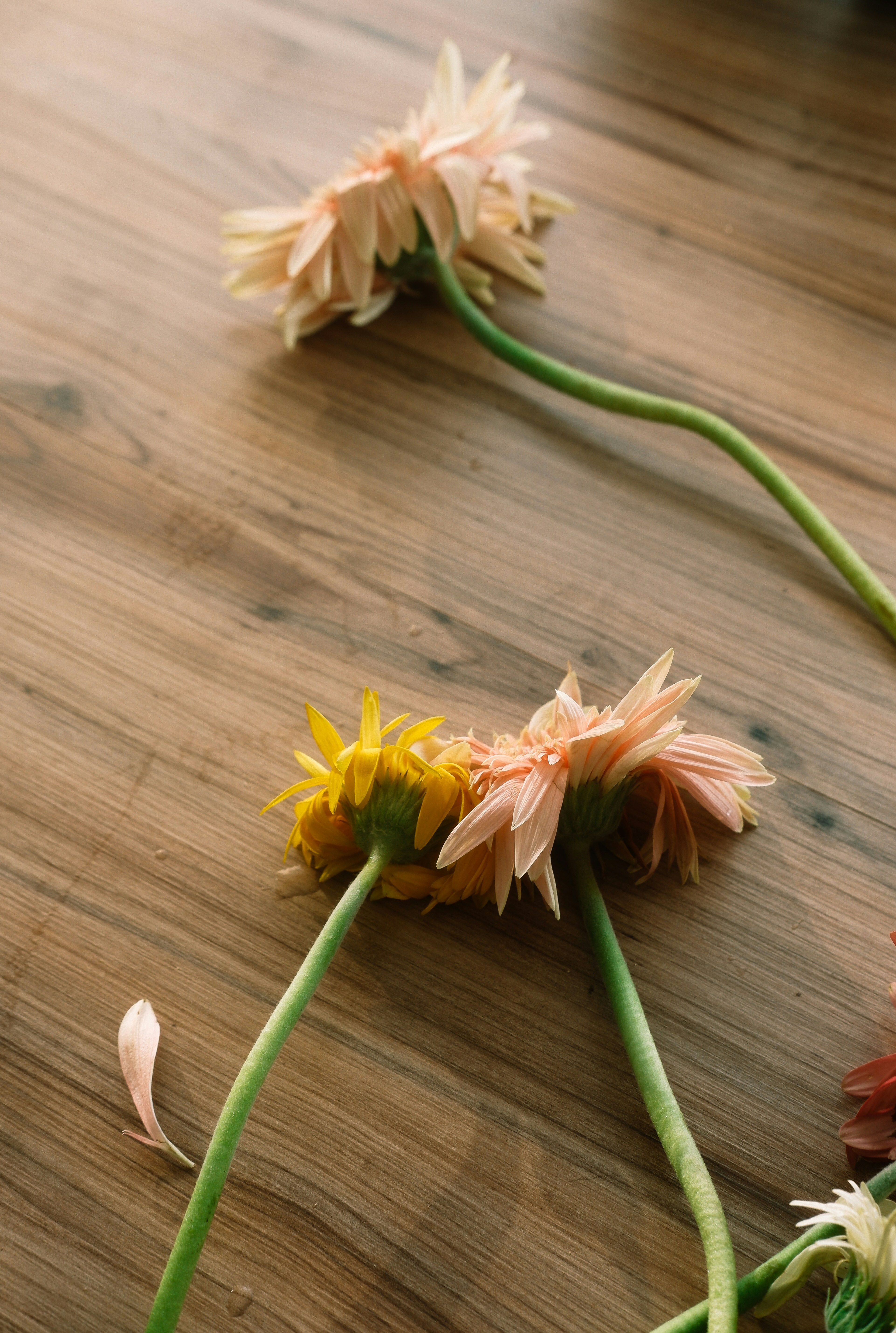 Photo by beyzaayurtkuran