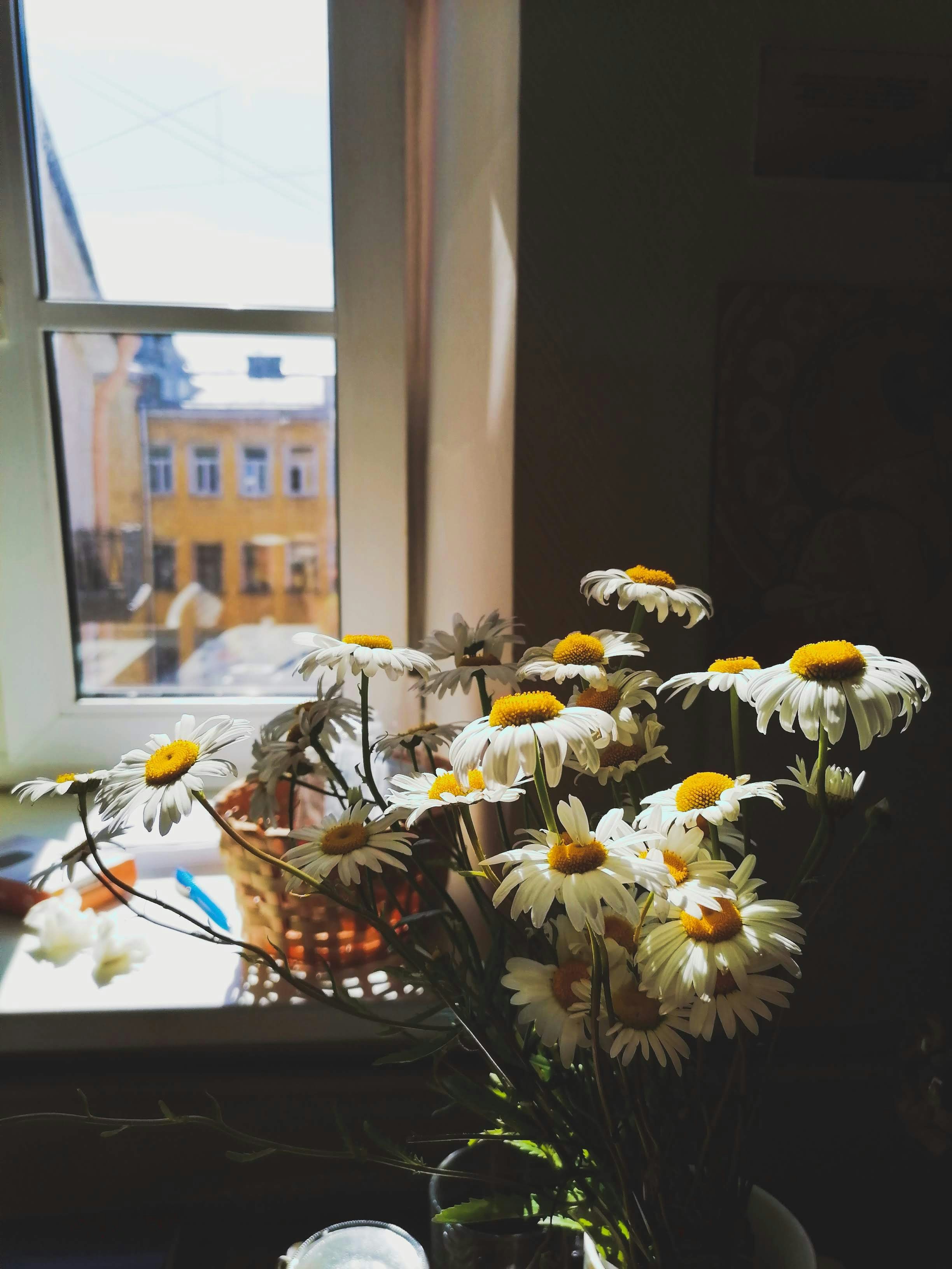 A vase filled with white and yellow flowers next to a window photo ...