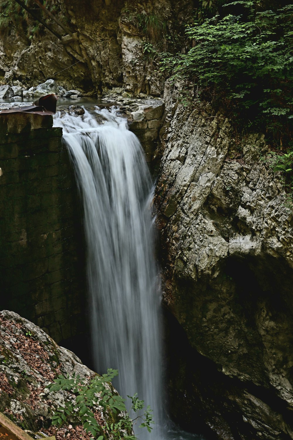 a small waterfall in the middle of a forest