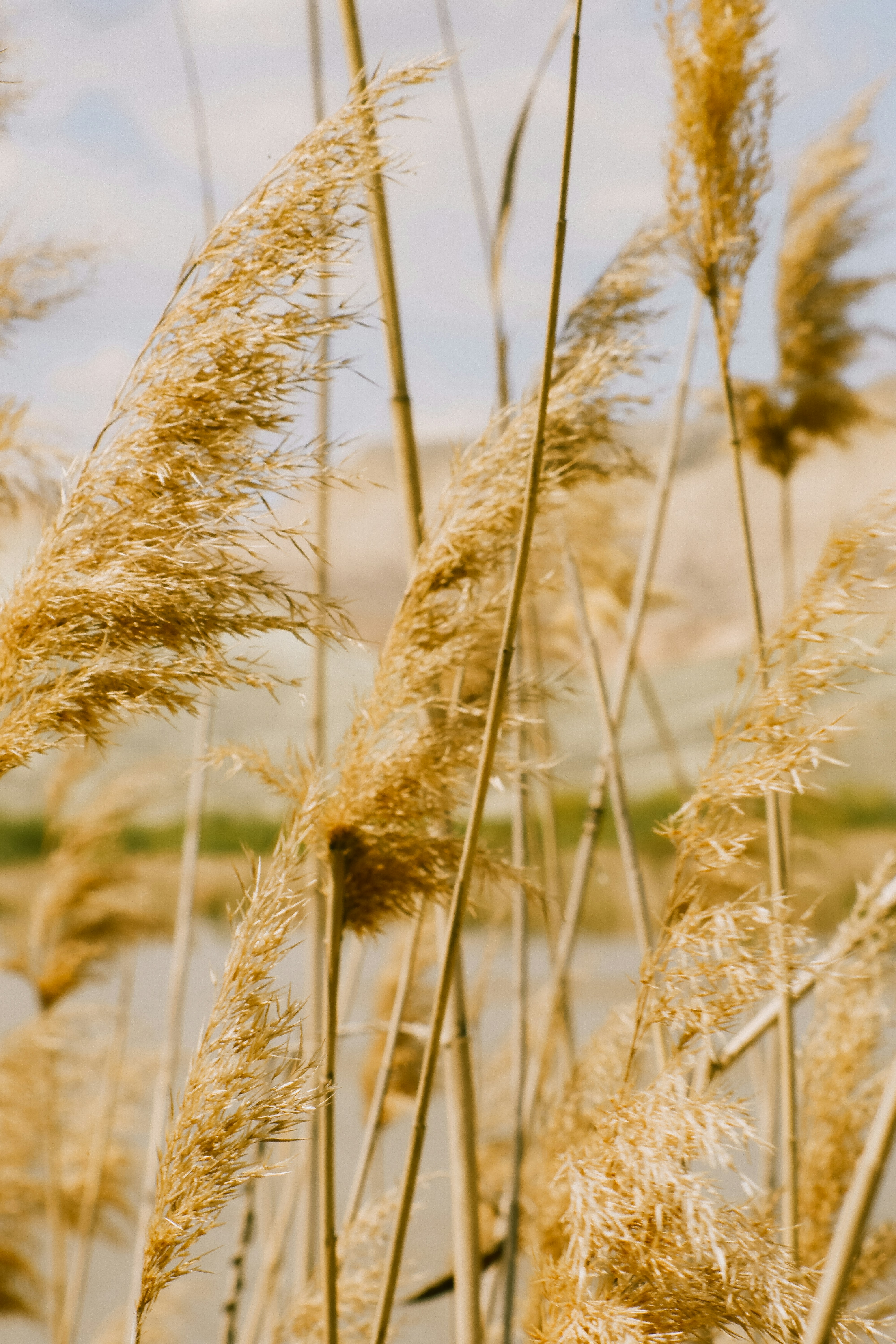 Photo by beyzaayurtkuran