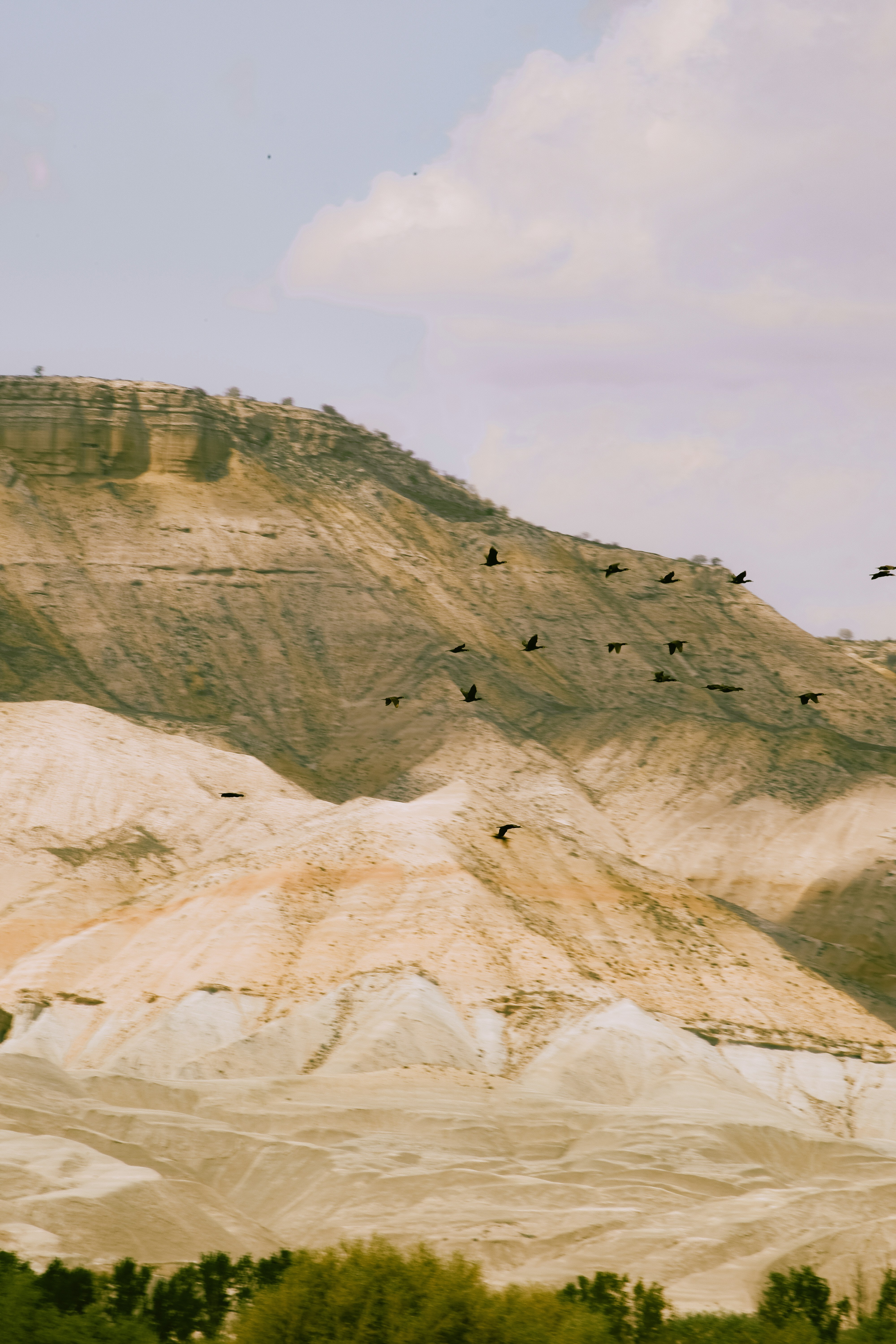 Photo by beyzaayurtkuran