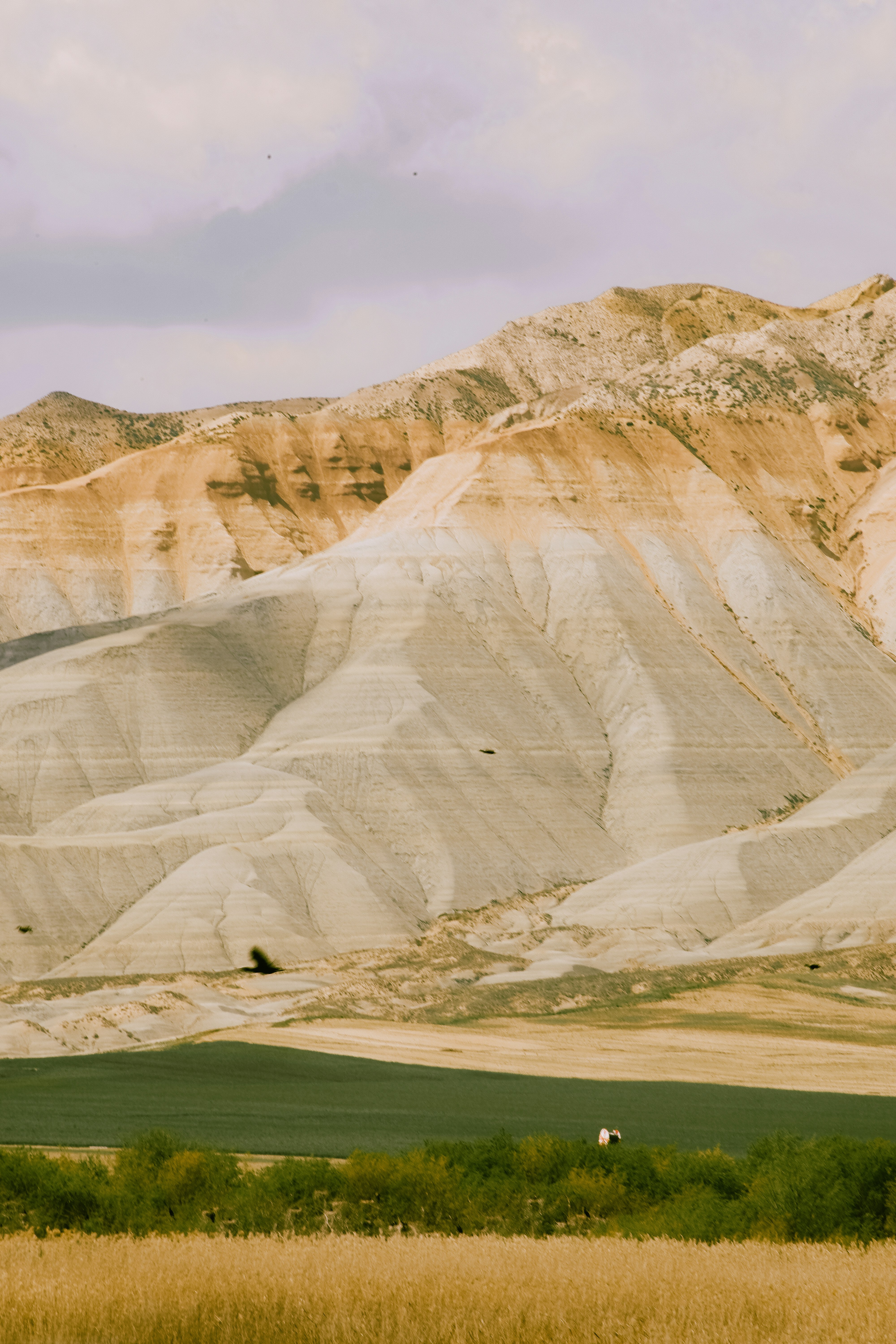 Photo by beyzaayurtkuran