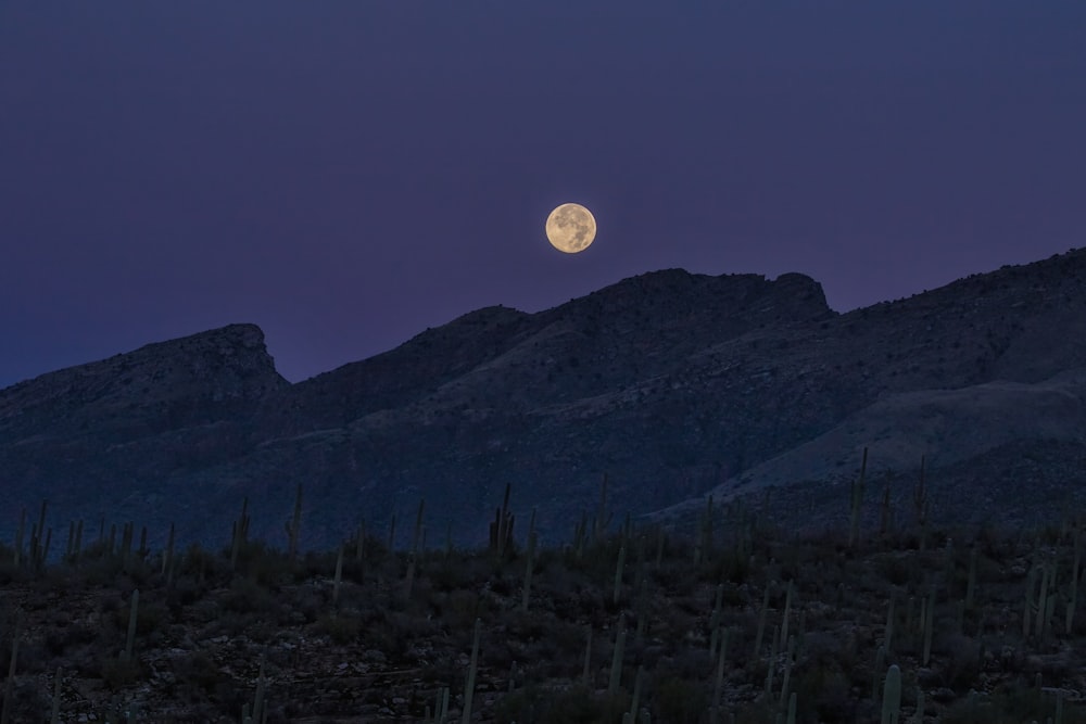 a full moon rising over a mountain range