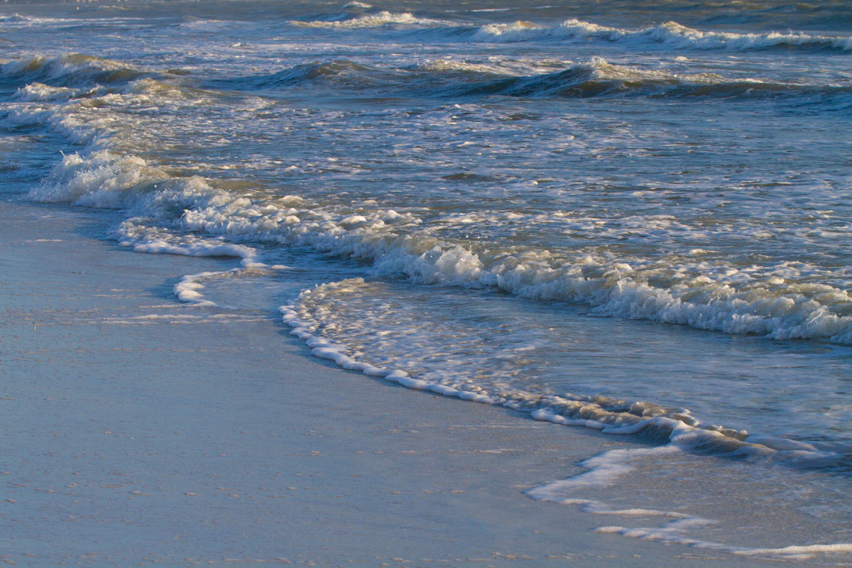 Medicare Advantage vs. Medigap in Florida: How to Actually Choose