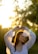 A woman in a white, flowy blouse is standing outdoors during sunset. She appears relaxed with her arms raised above her head. The sunlight creates a warm, golden glow around her, and the background is softly blurred with natural greenery.