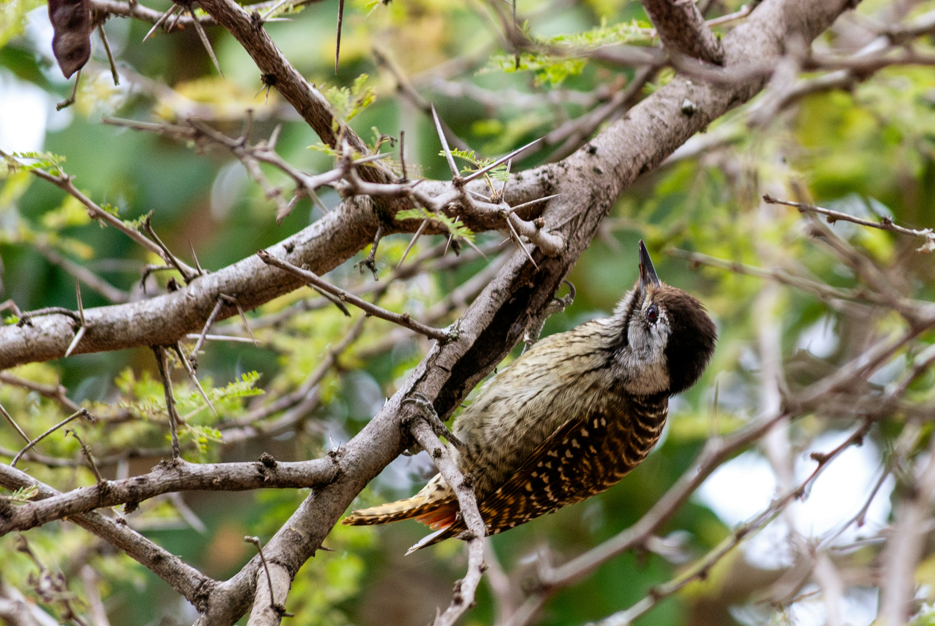 Photo by fullredstop