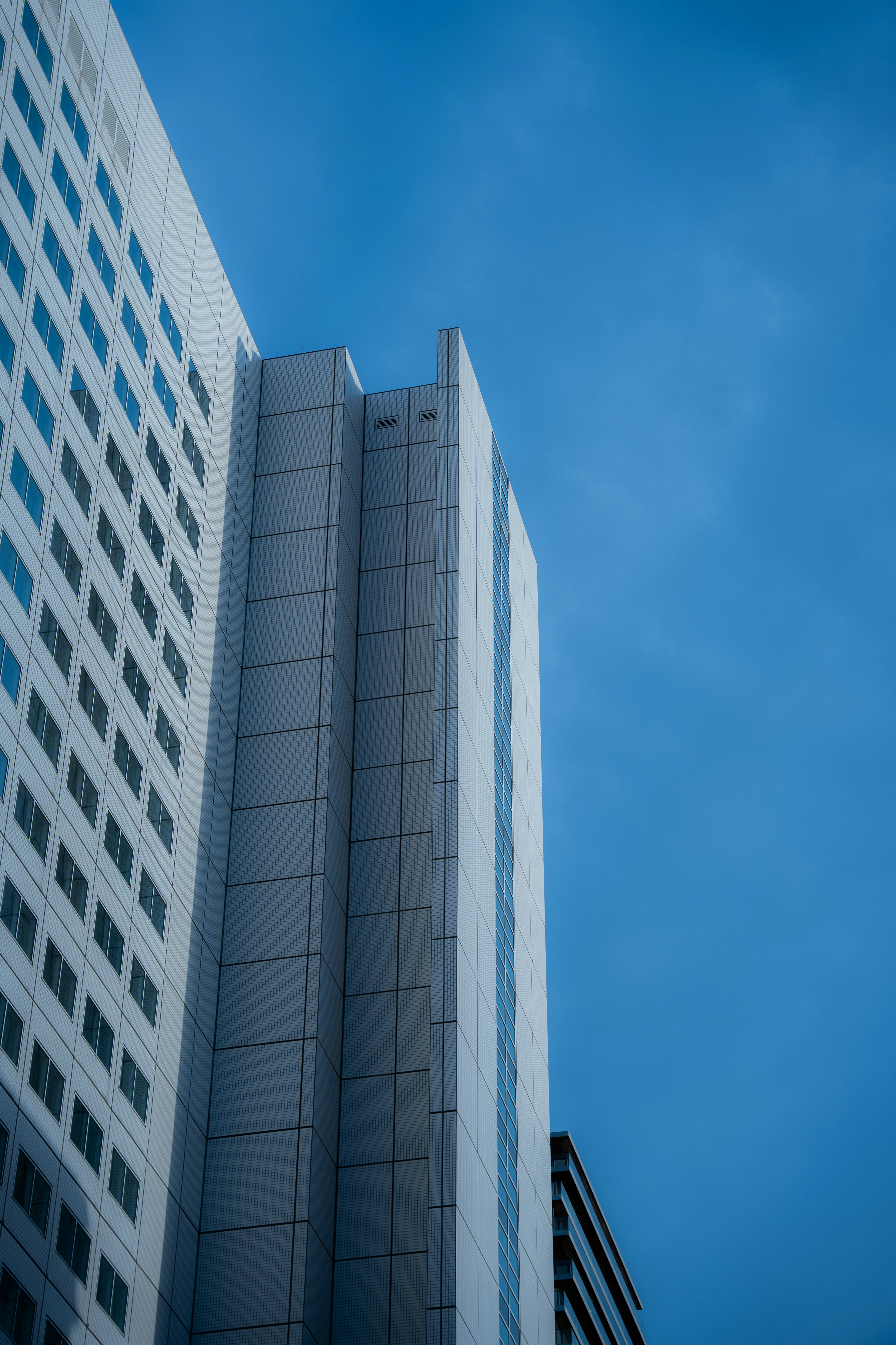 Photo by ali_mohseni_rad