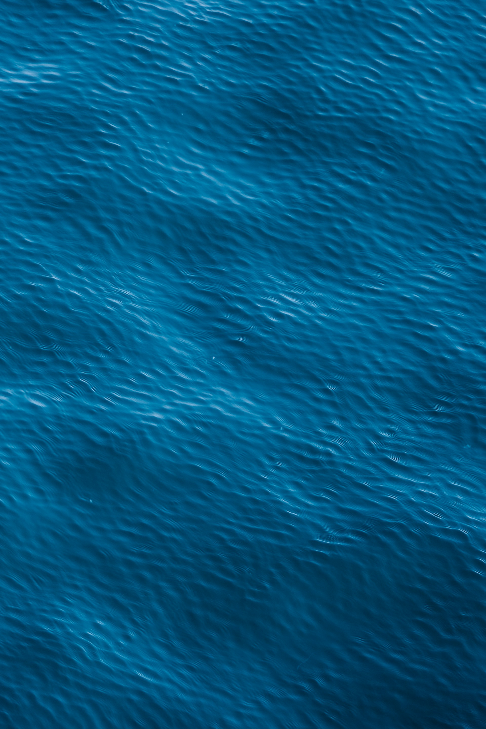 a bird flying over a body of water