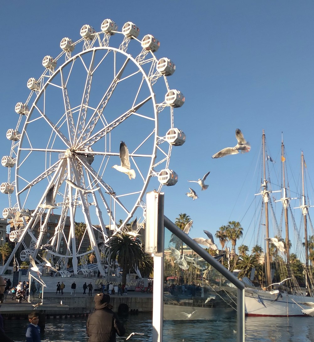 a ferris wheel sitting next to a body of water