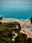 Aerial shot of the urbanization near the beach with lush greenery.