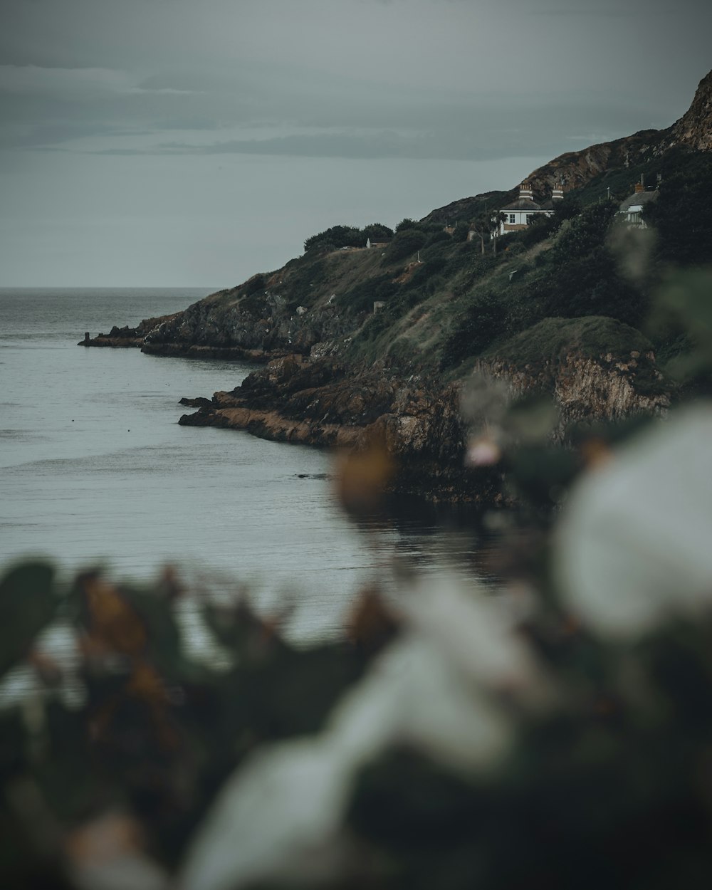 a view of a body of water from a hill