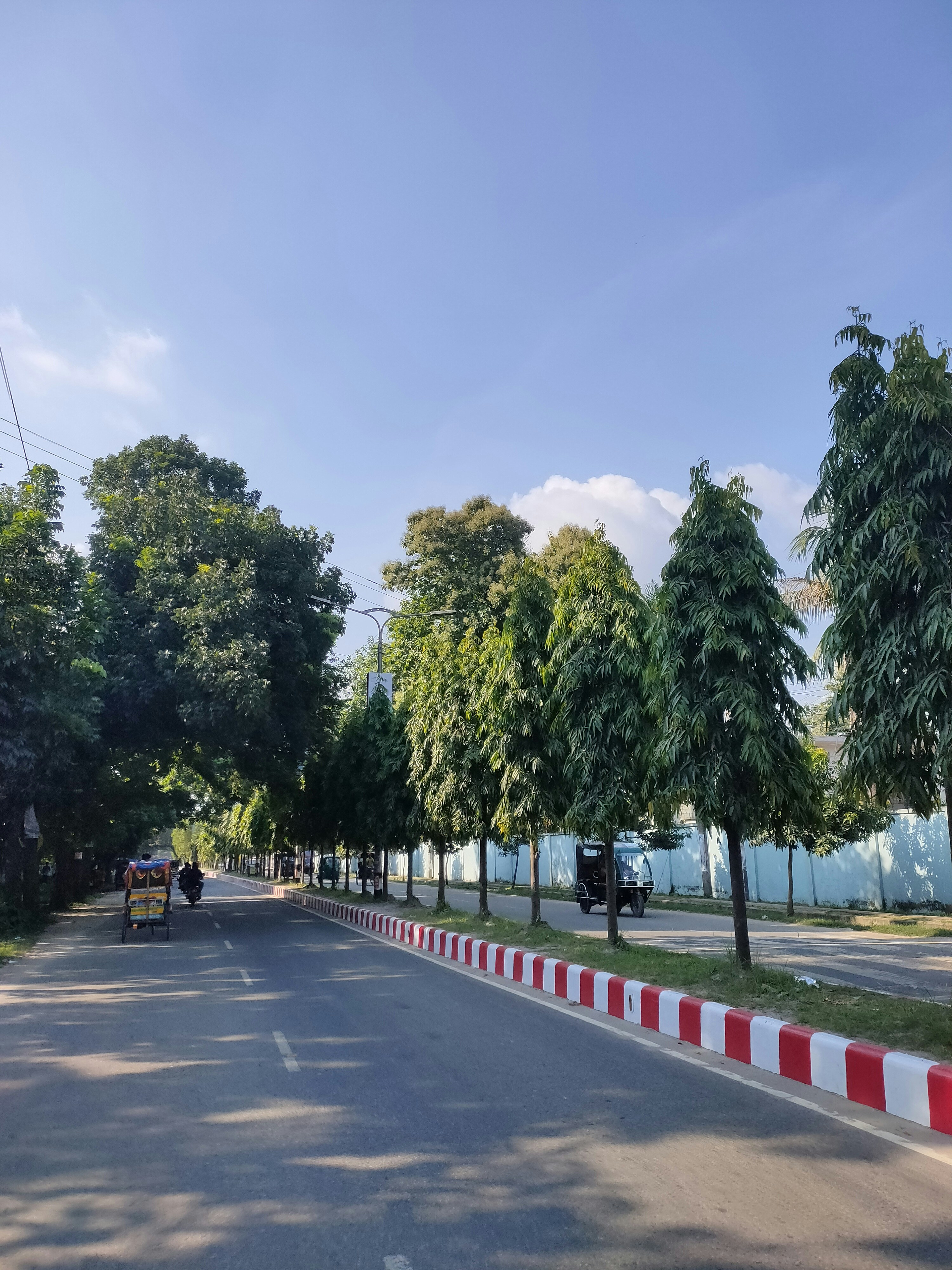 jalan yang dipenuhi pepohonan di sebelah trotoar merah dan putih