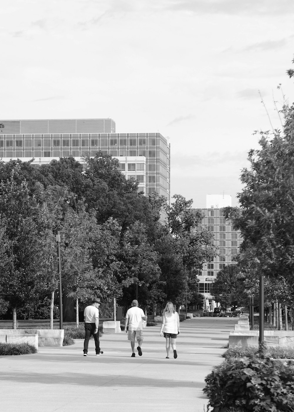 a black and white photo of people walking in a park