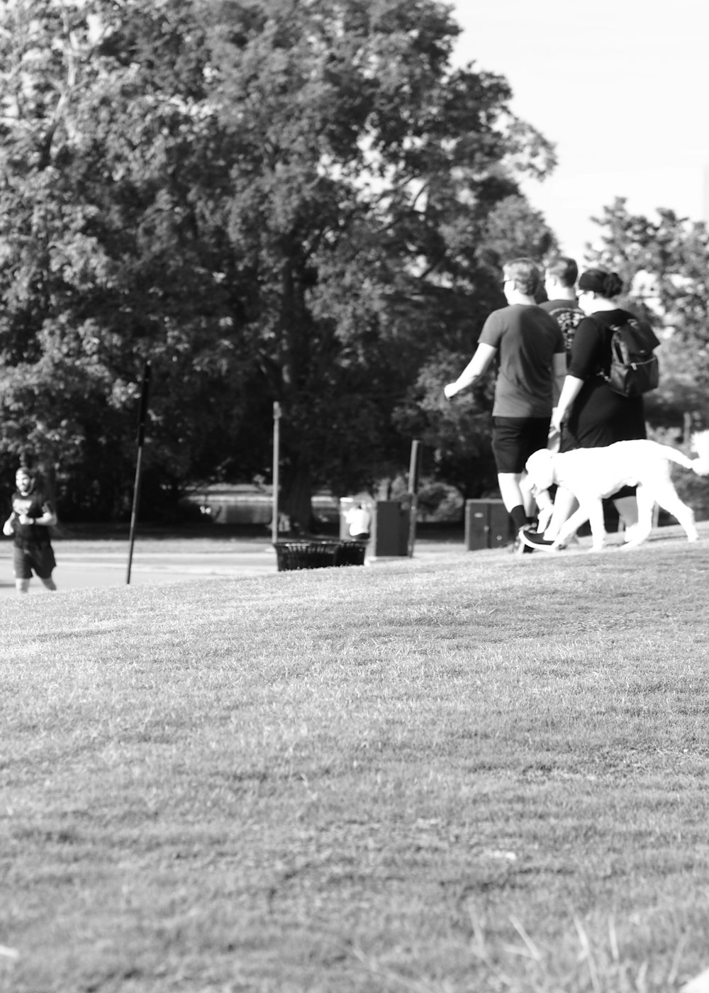 a group of people playing frisbee in a park