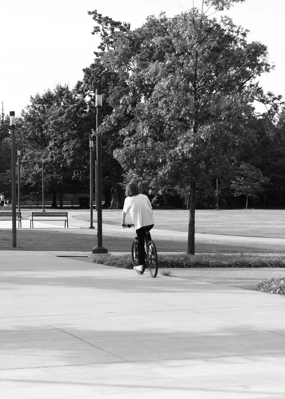 한 남자가 자전거를 타고 공원 옆 거리를 걷고 있다