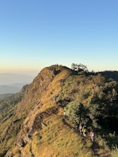 Trekking group hiking along a scenic trail on Mount Rinjani surrounded by lush greenery.