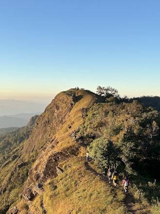 Badri Rai leading a small group through a lush mountain trail, smiling warmly under the sun.