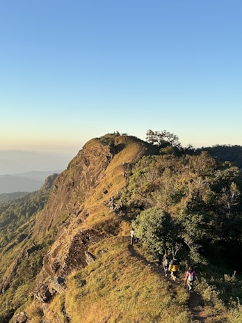 Trekking group hiking along a scenic trail on Mount Rinjani surrounded by lush greenery.