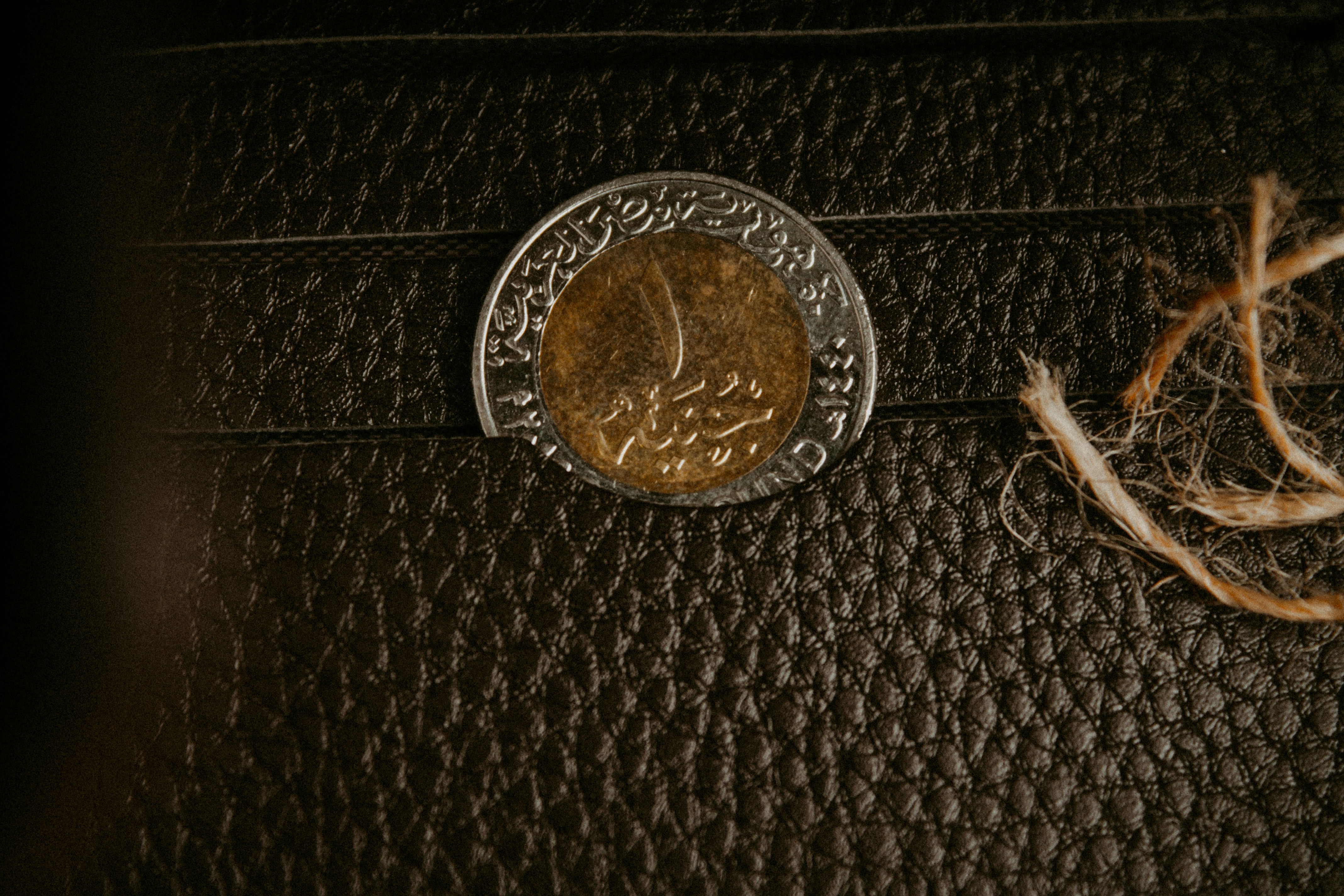 photo 1689903777409 8b129e2f19bf?crop=entropy&cs=tinysrgb&fit=max&fm=jpg&ixid=M3w1MjQ0NjR8MHwxfHNlYXJjaHwxNnx8QnVnJTIwb3V0JTIwQmFnfGVufDB8MHx8fDE3NTE0NTc4MzZ8MA&ixlib=rb 4.1