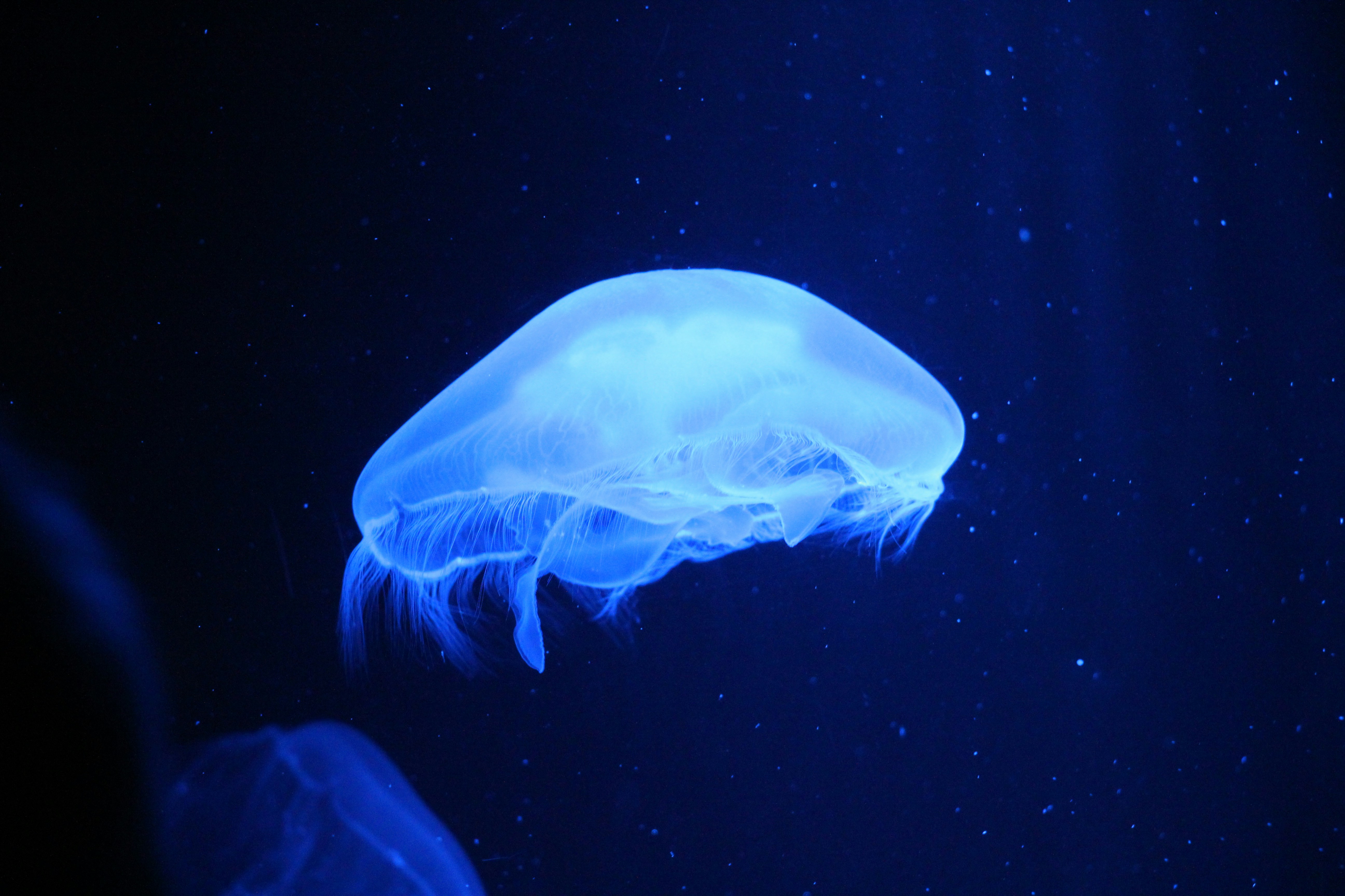 Photo by tashakostyuk