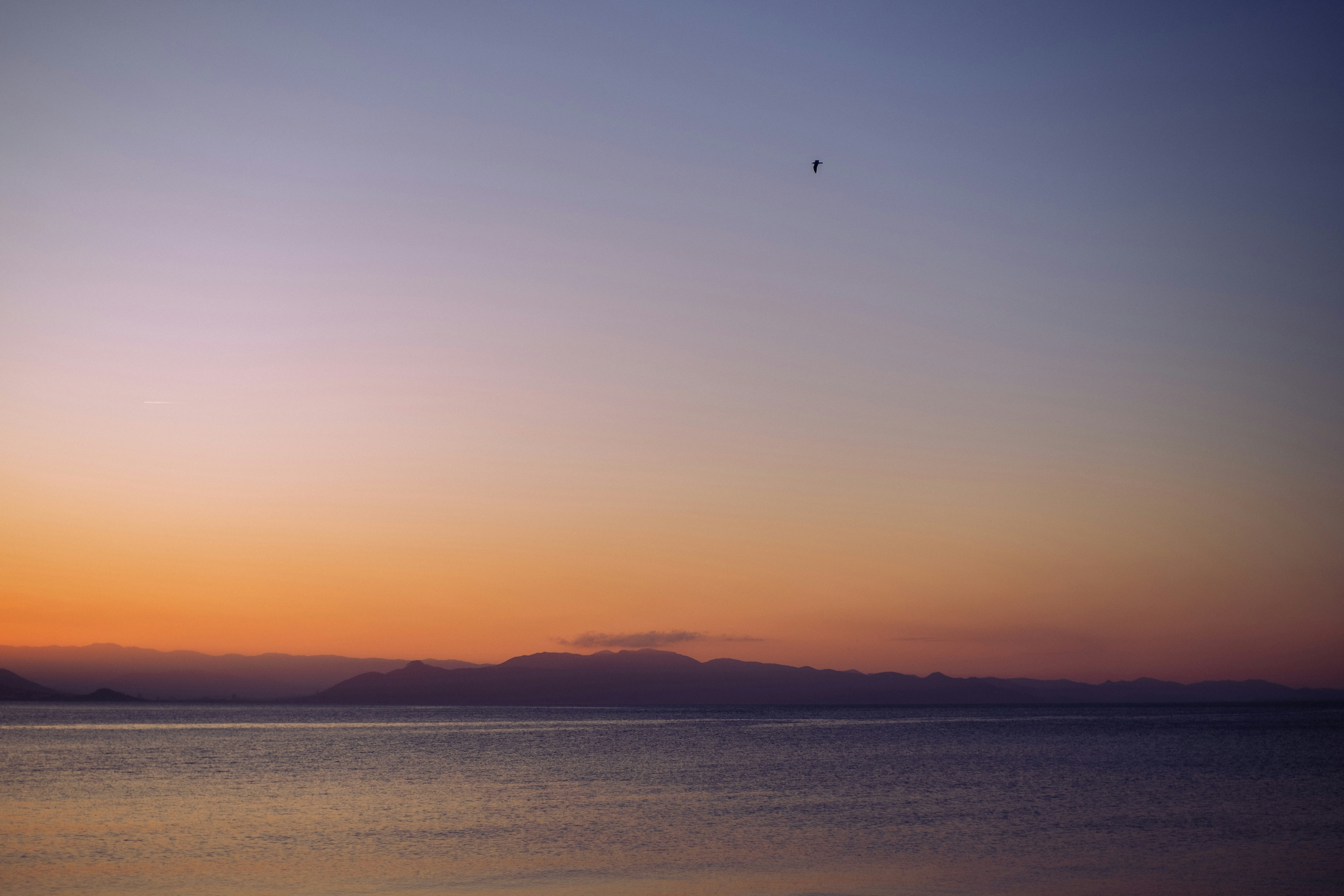 Photo by vanya_nichego