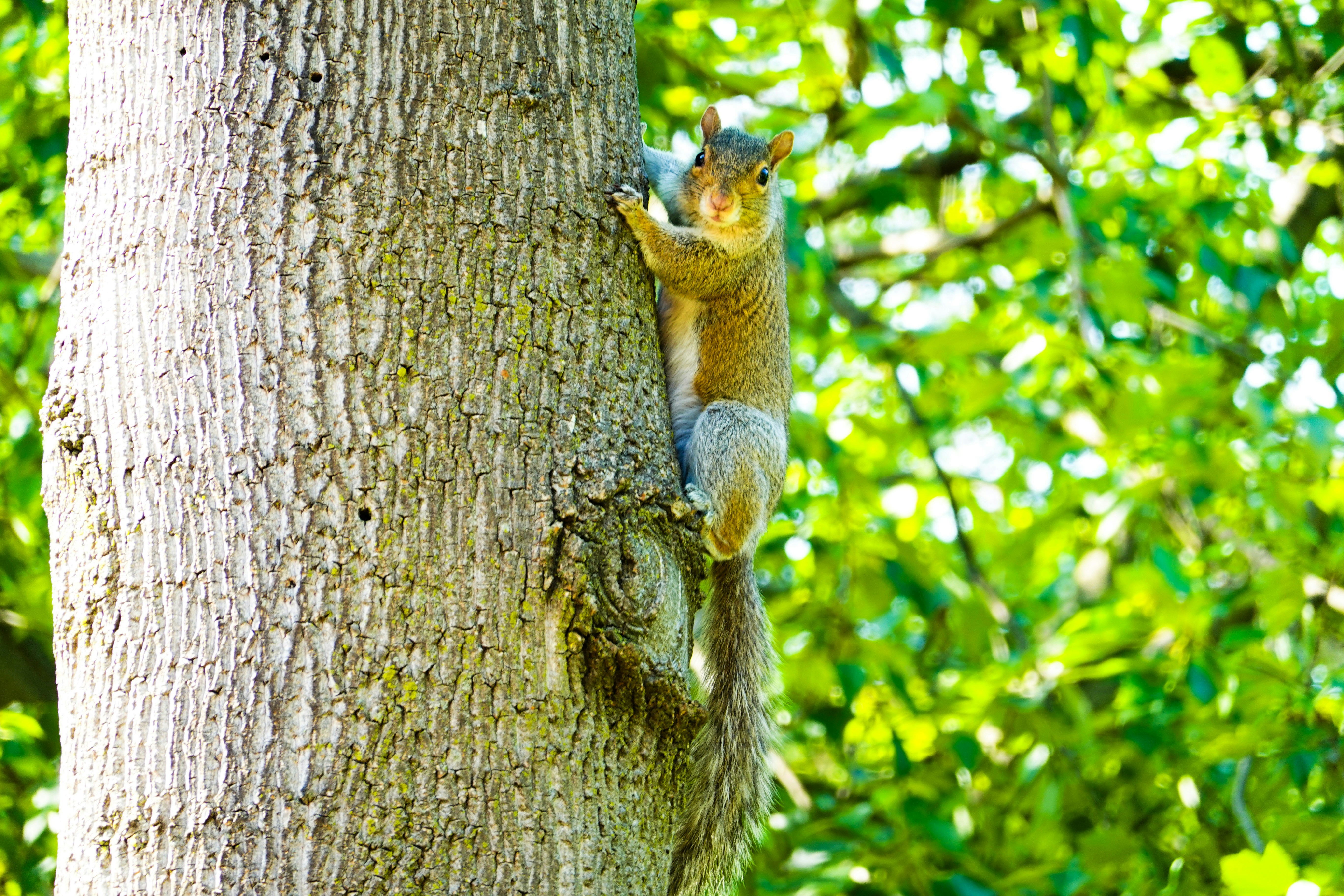 Photo by skyfly_rich