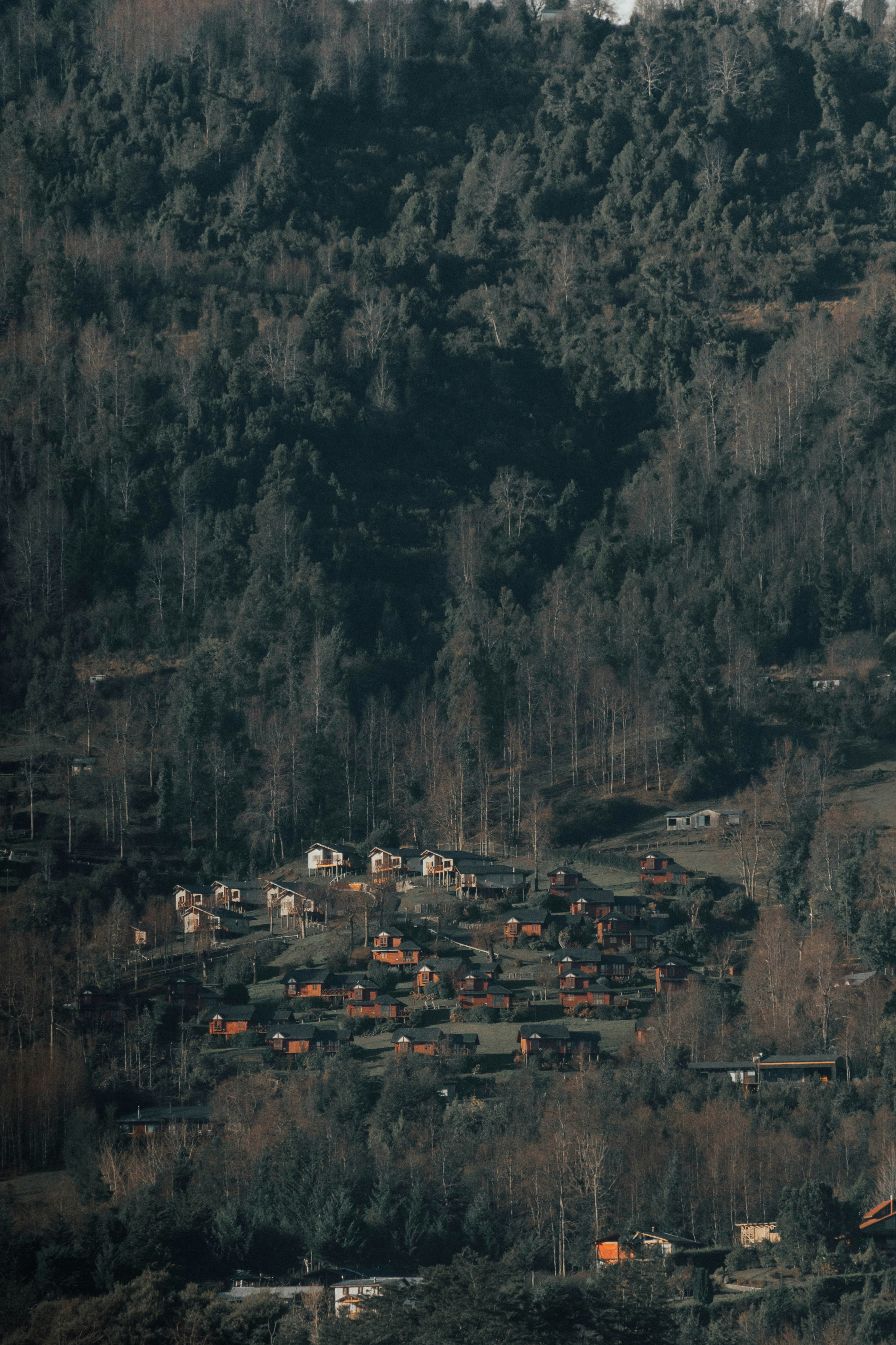 a small village nestled on a hillside surrounded by trees