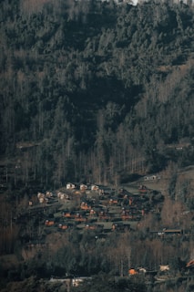 A lush forest landscape with numerous small cabins nestled among the trees. The scene features a variety of green hues from dense foliage covering the hillside, interspersed with patches of brown, likely from fallen leaves or drier vegetation. The cabins are aligned in a scattered, yet organized manner across the slope, with a blend of wooden and possibly metallic structures.