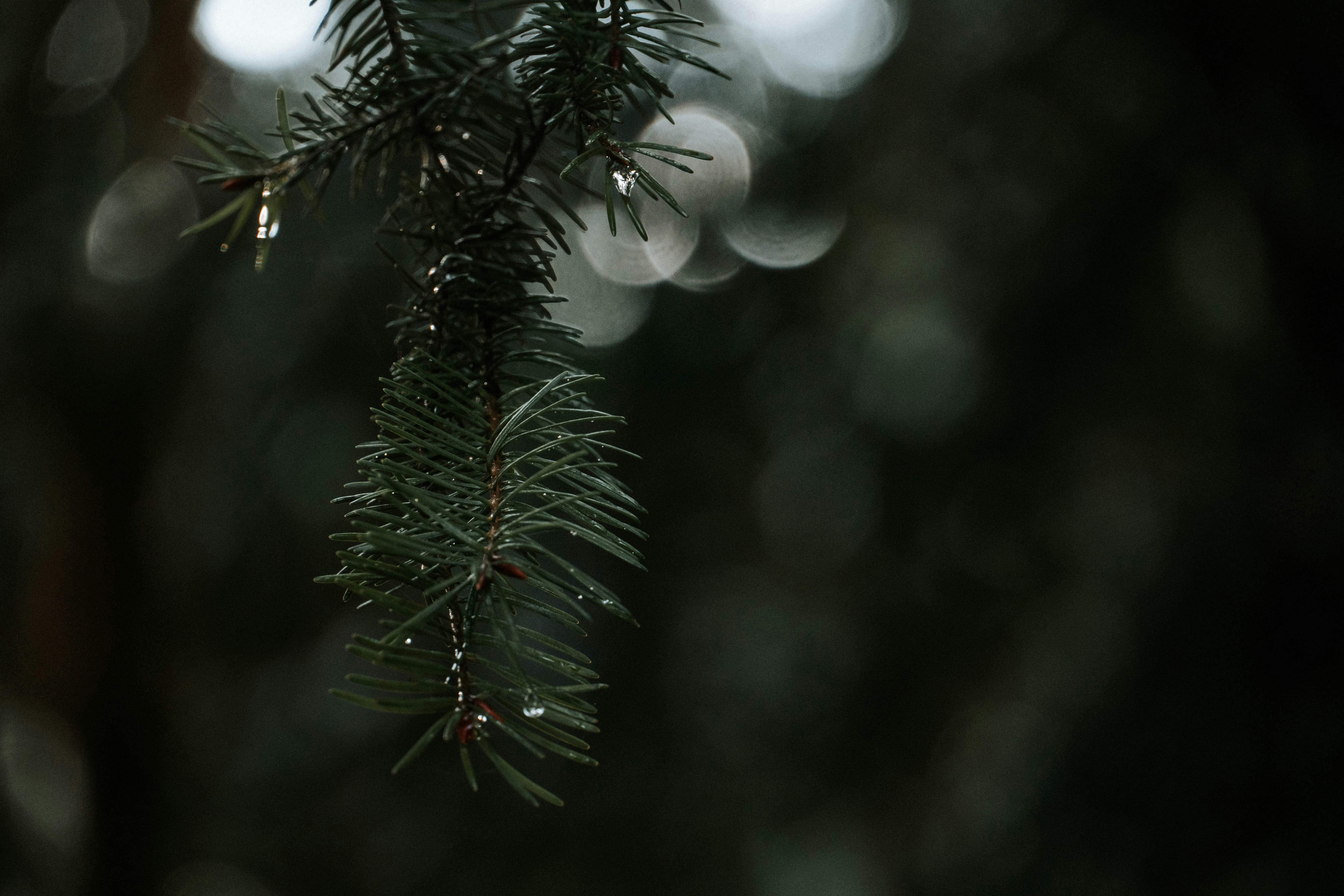 Photo by gustavo0351