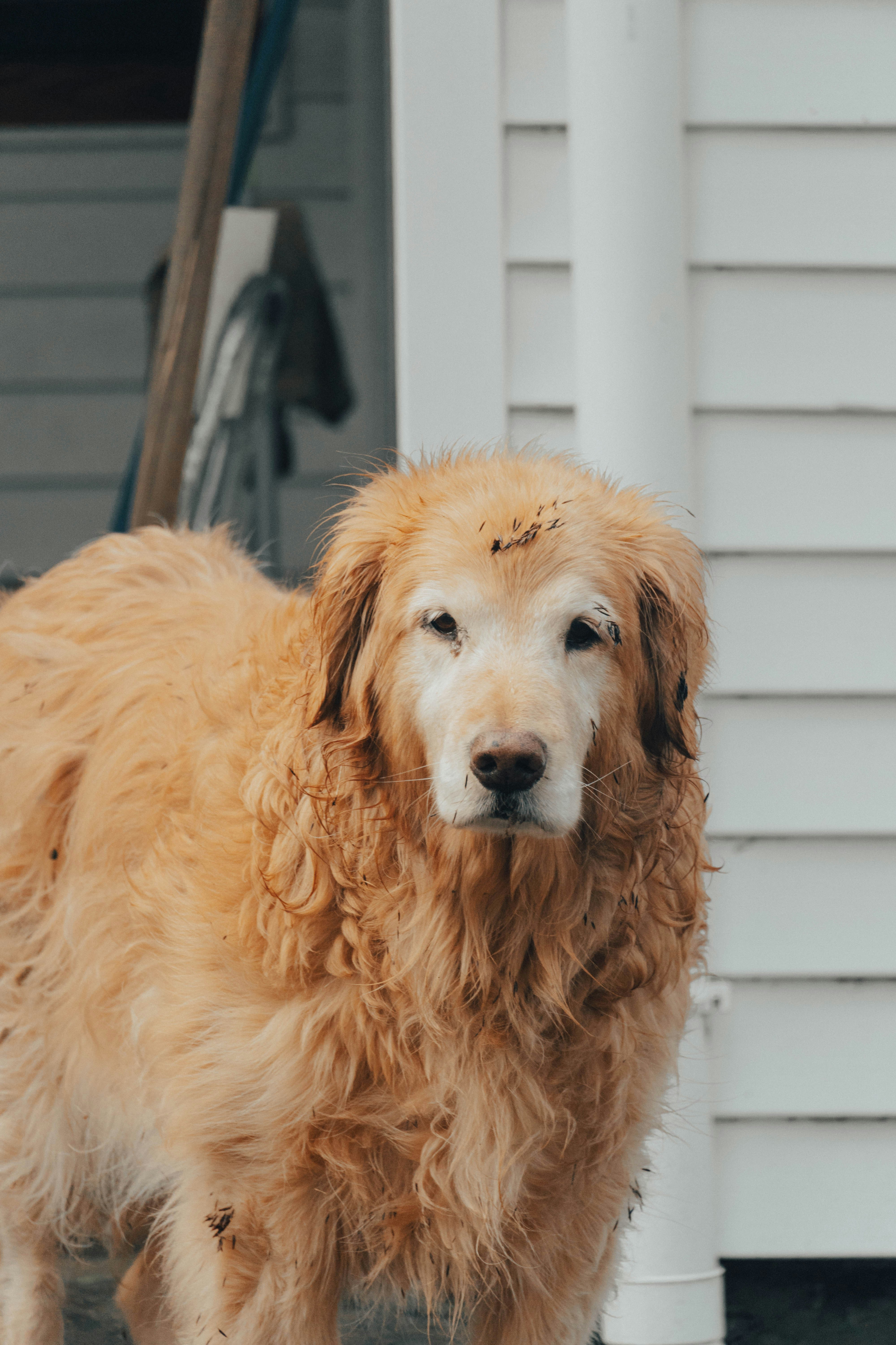 Photo by gustavo0351