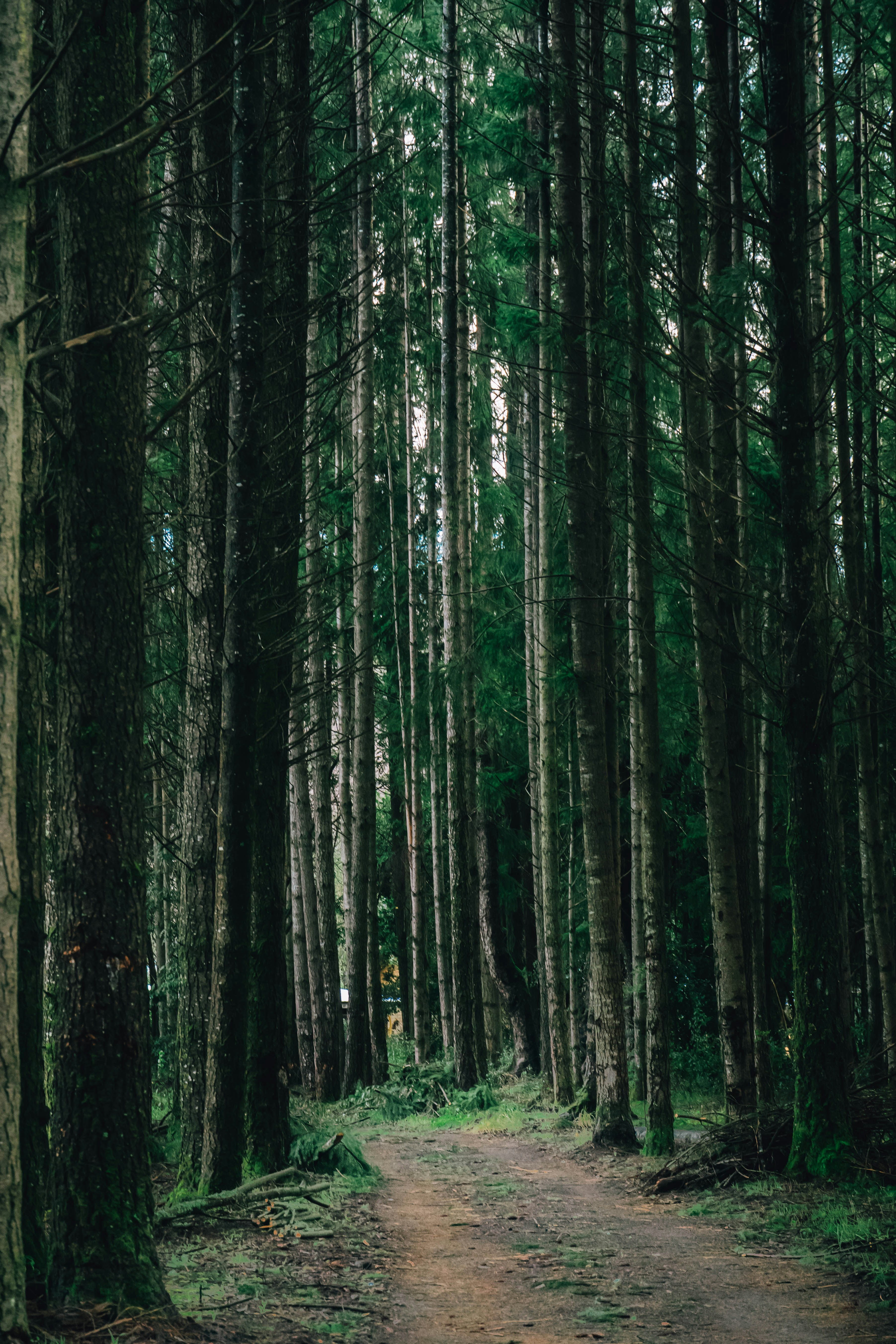 Photo by gustavo0351