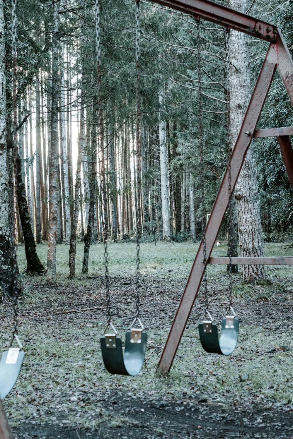 a swing set in the middle of a forest