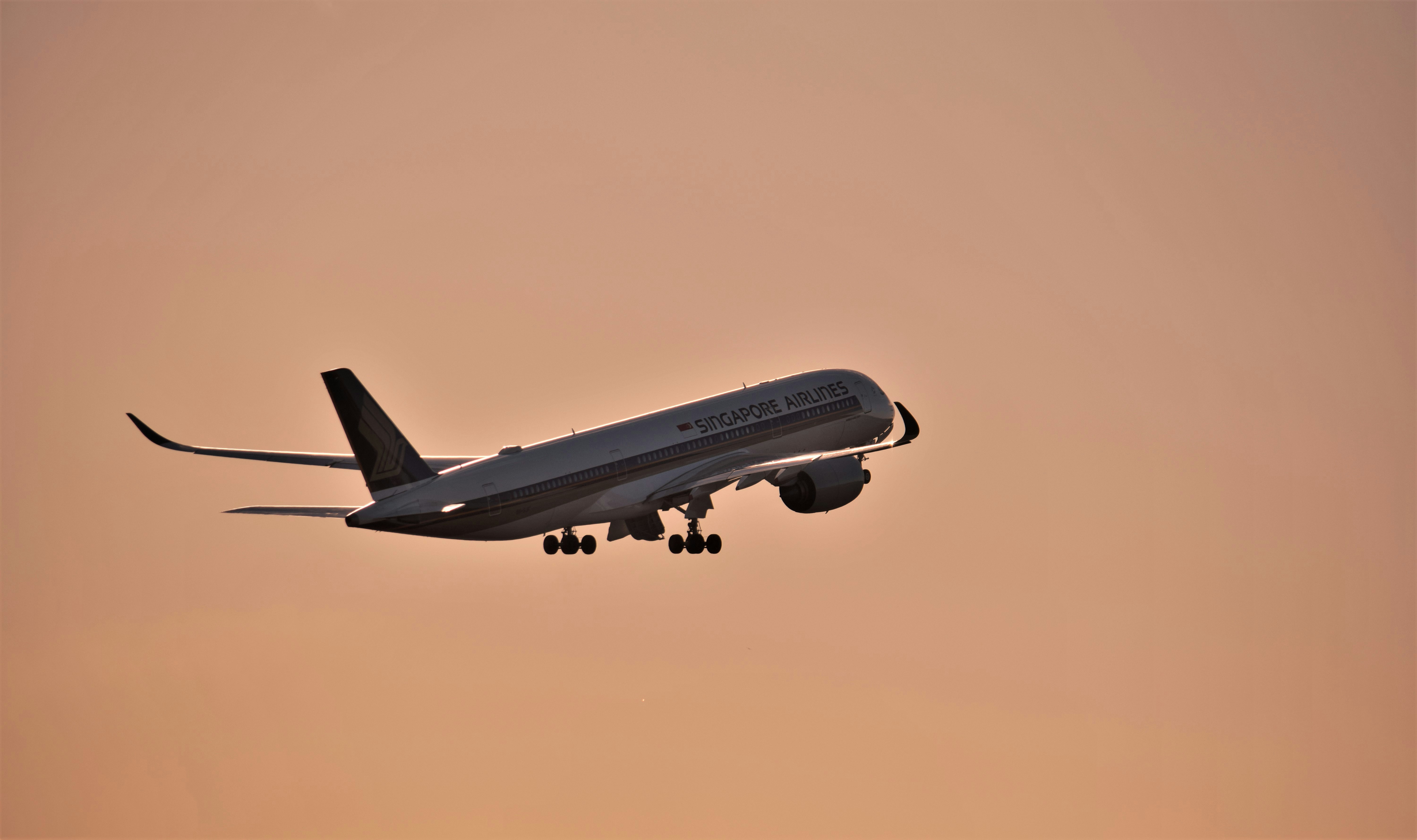 a large jetliner flying through a pink sky, 