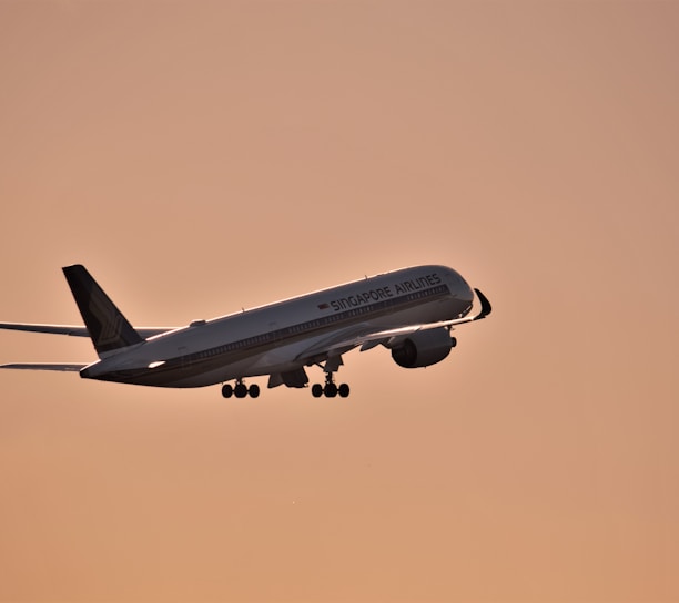 a large jetliner flying through a pink sky