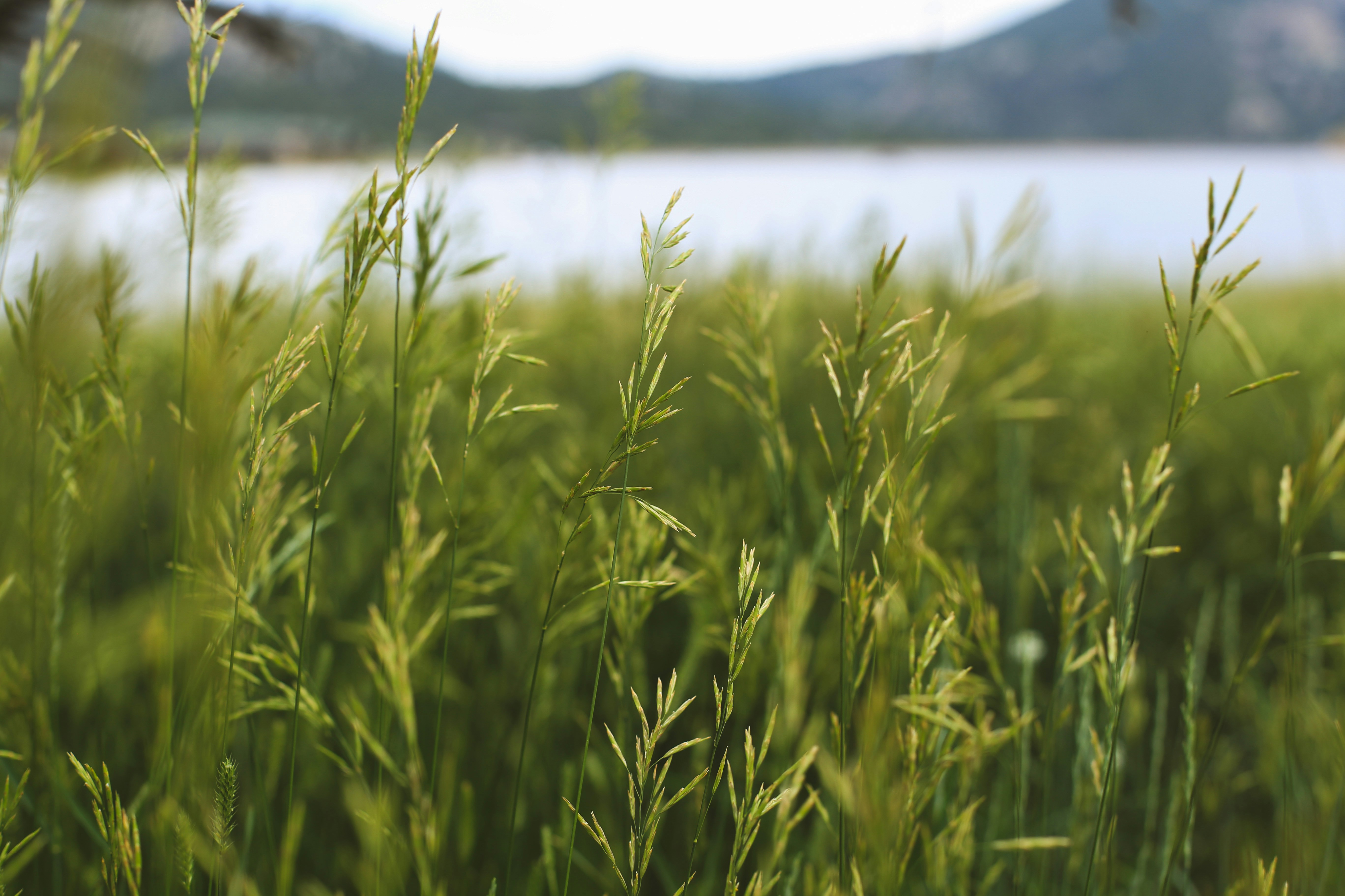 Photo by jessicalfadel