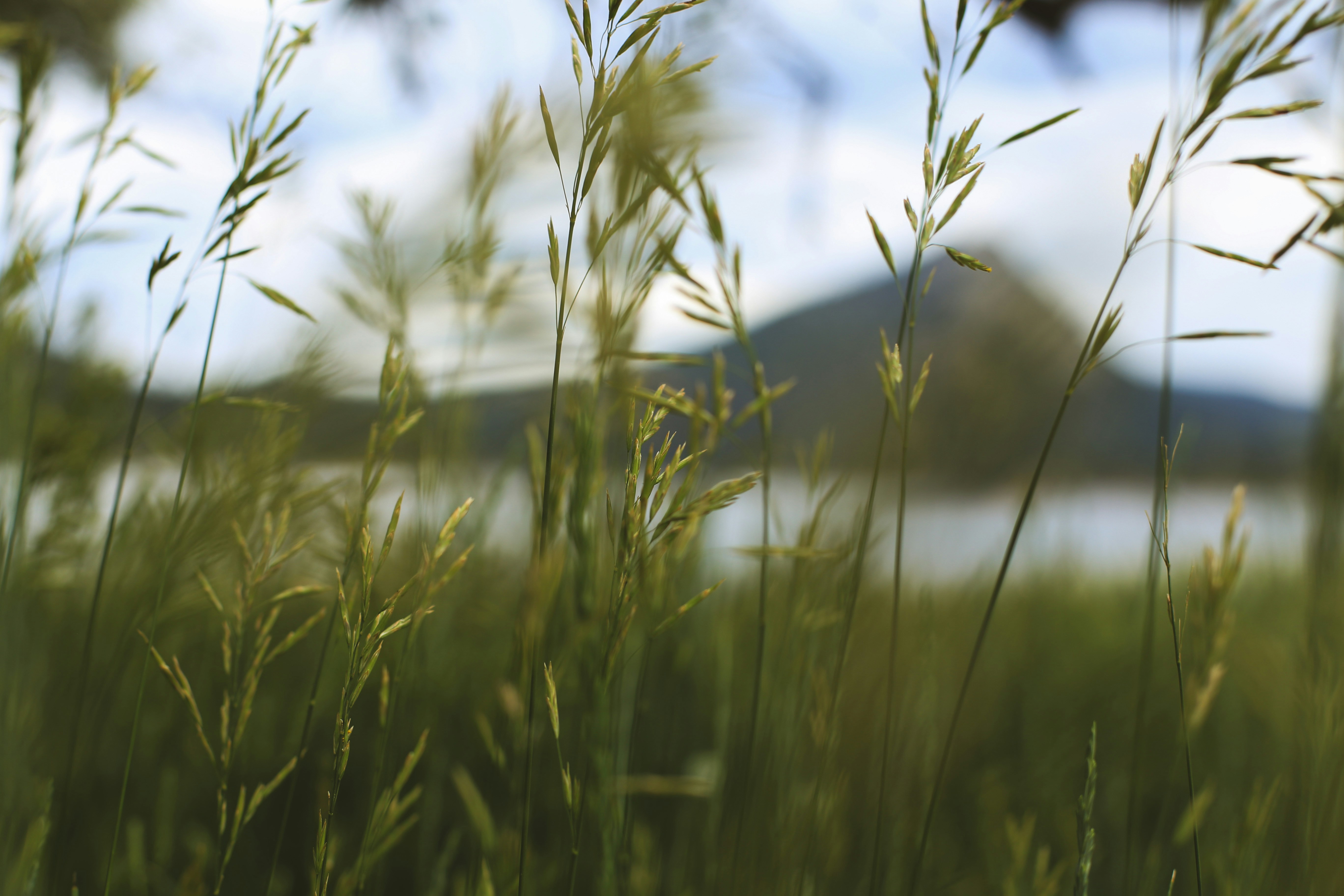 Photo by jessicalfadel