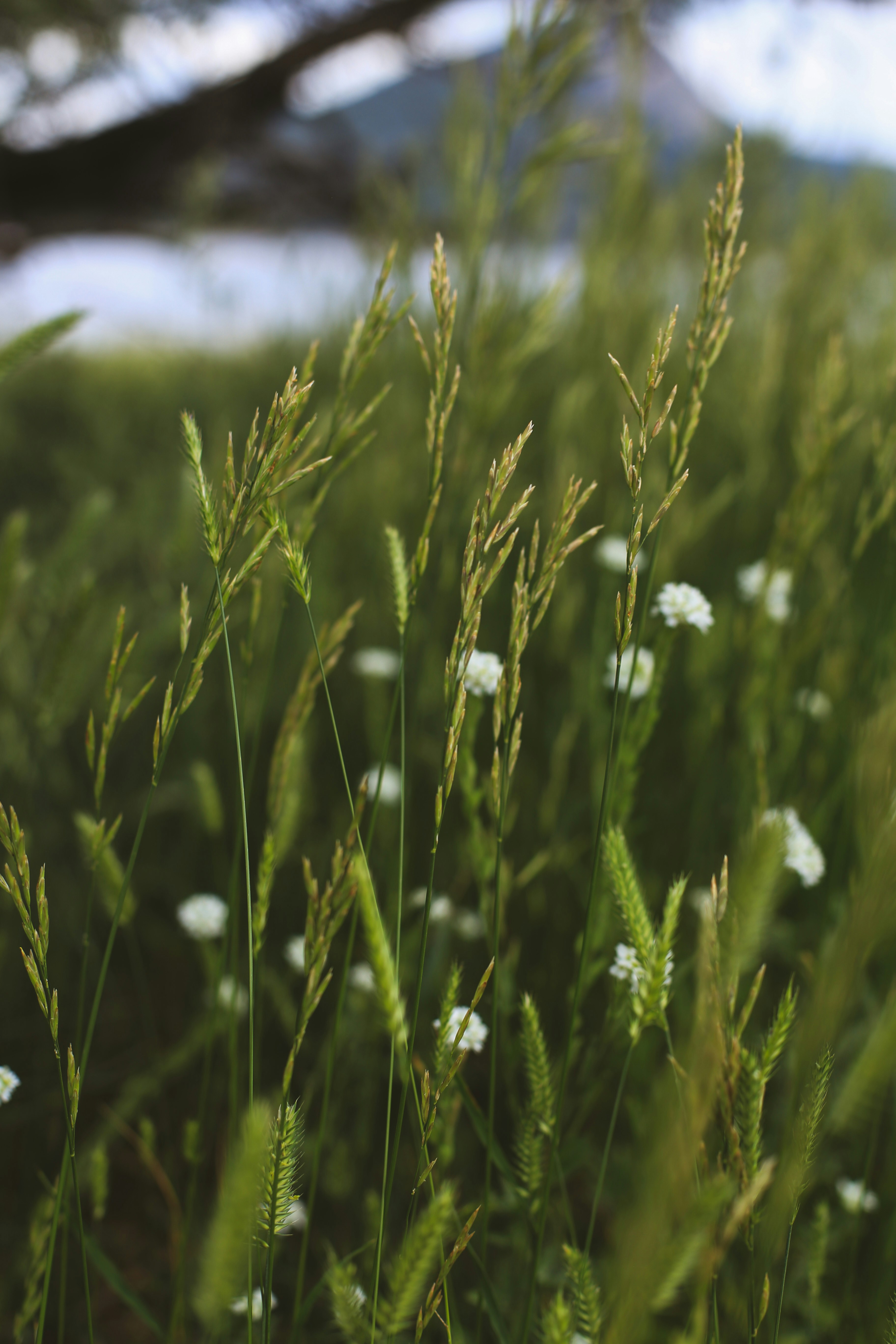 Photo by jessicalfadel