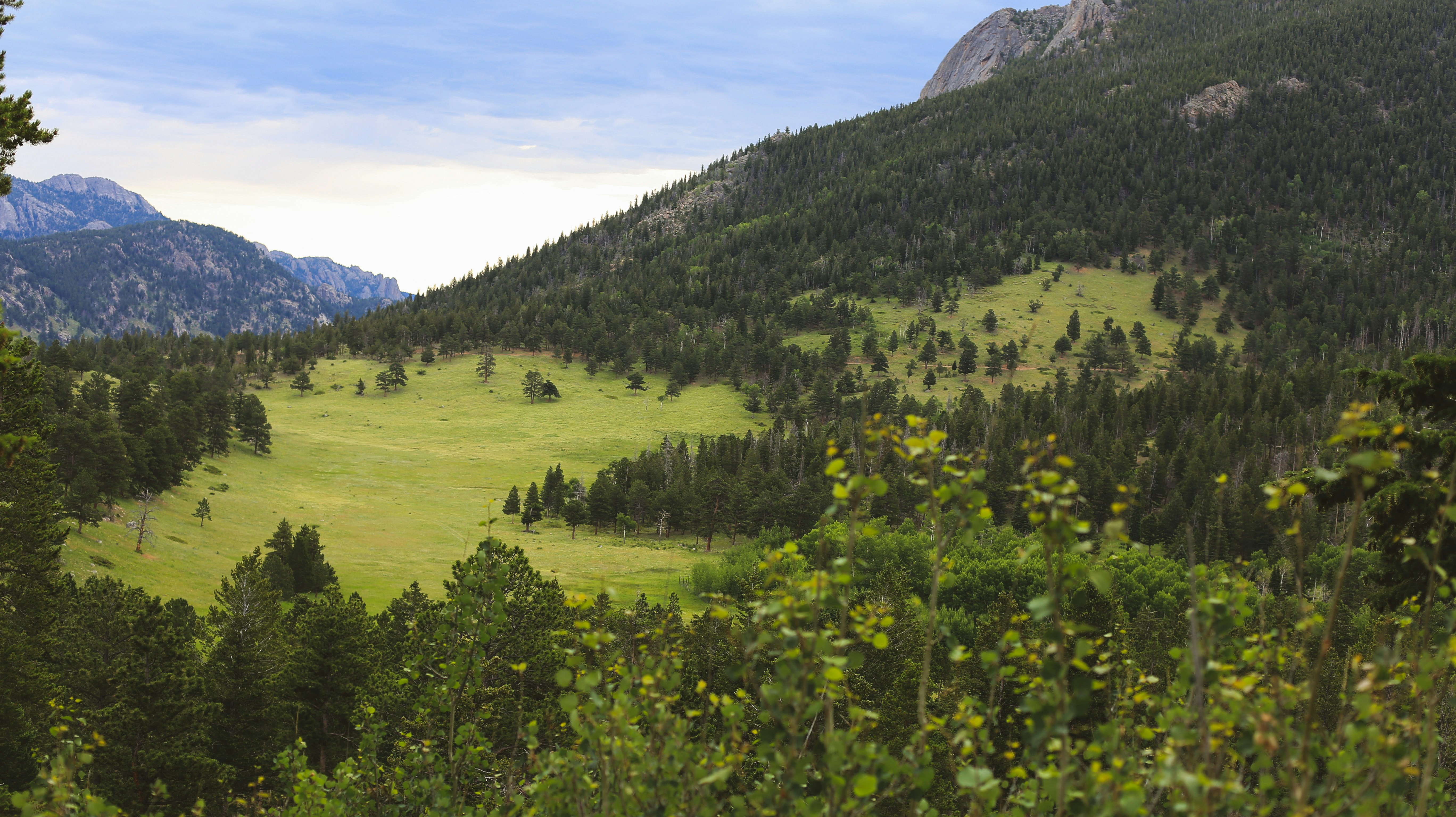 Photo by jessicalfadel