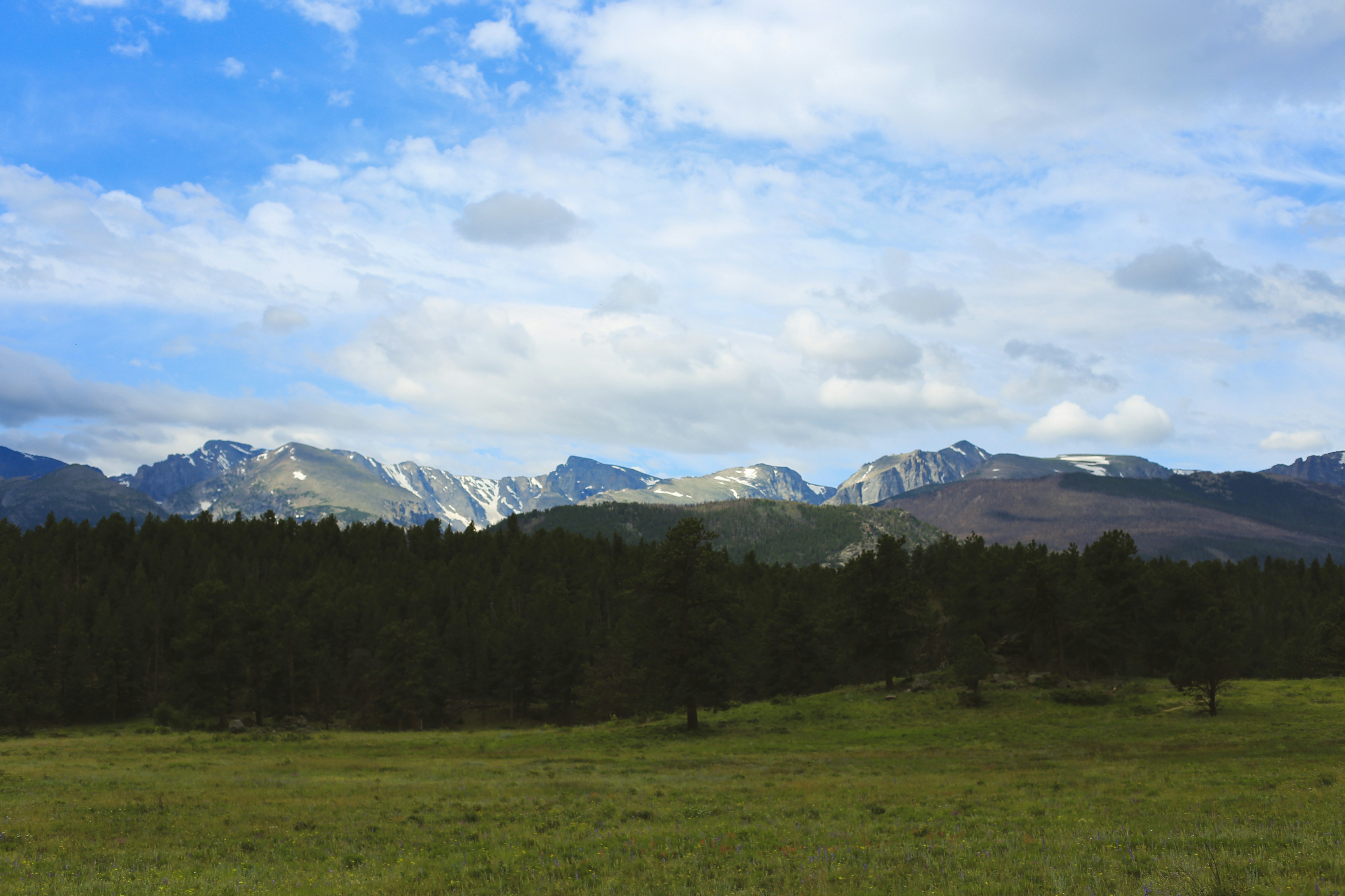 Photo by jessicalfadel