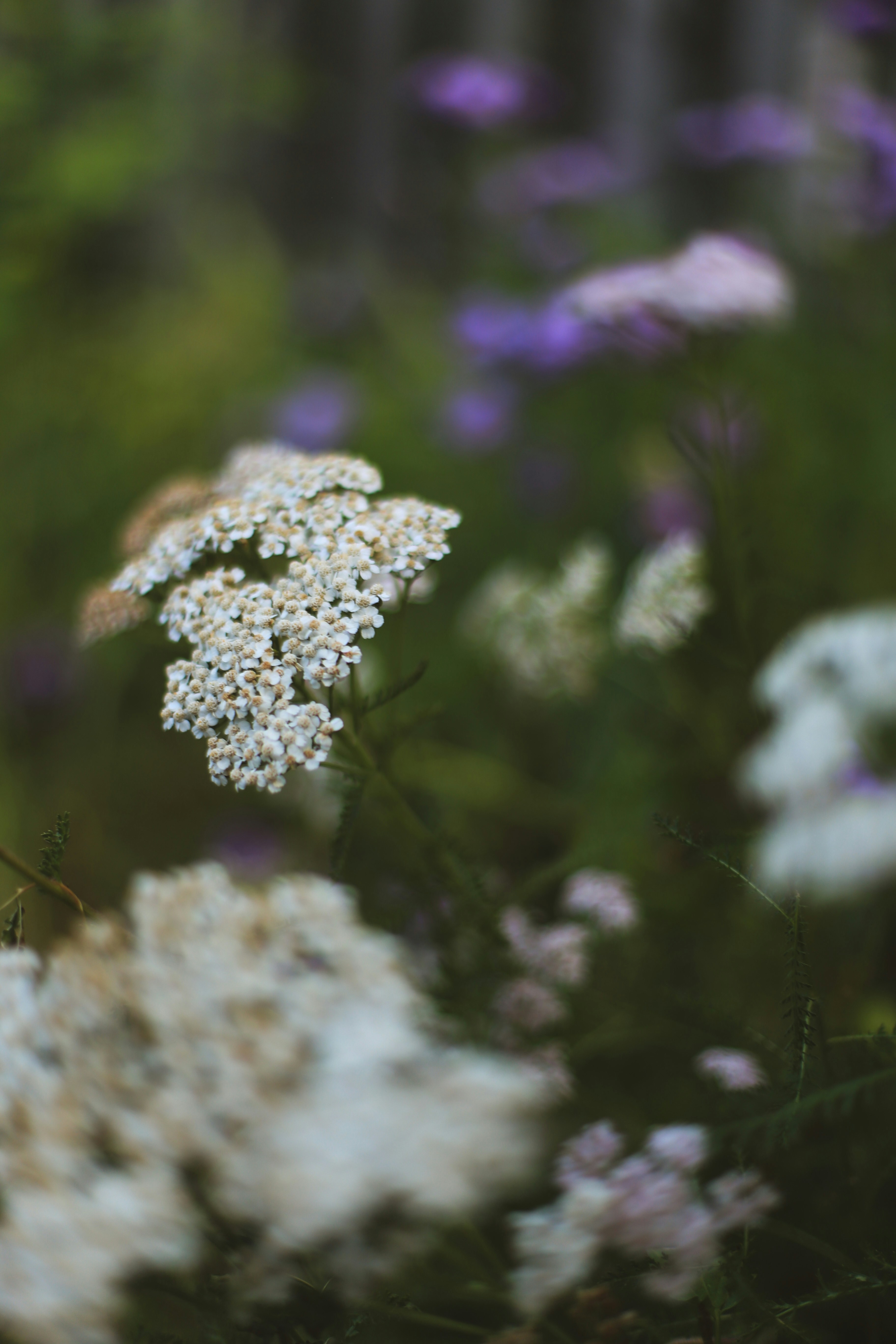 Photo by jessicalfadel