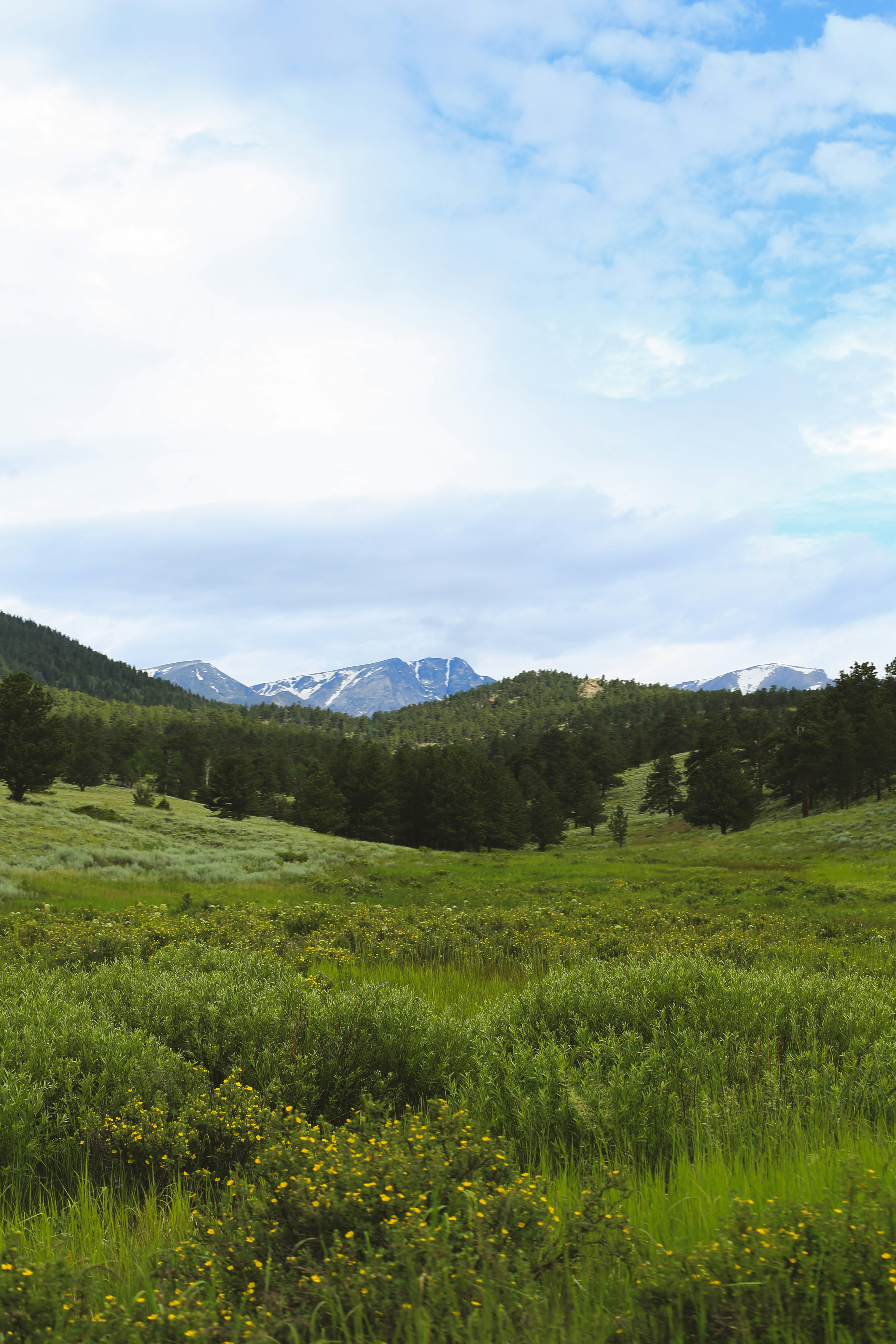 Photo by jessicalfadel