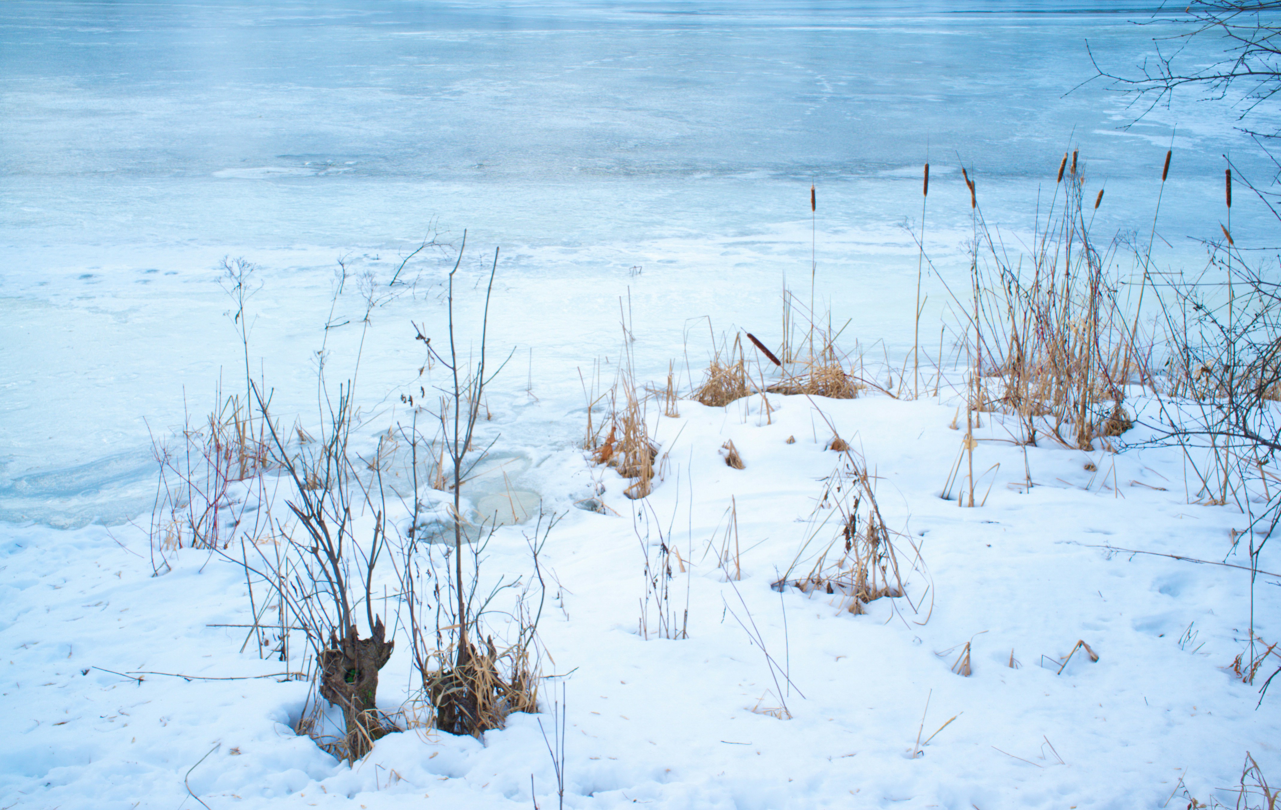 Photo by jonathankslim