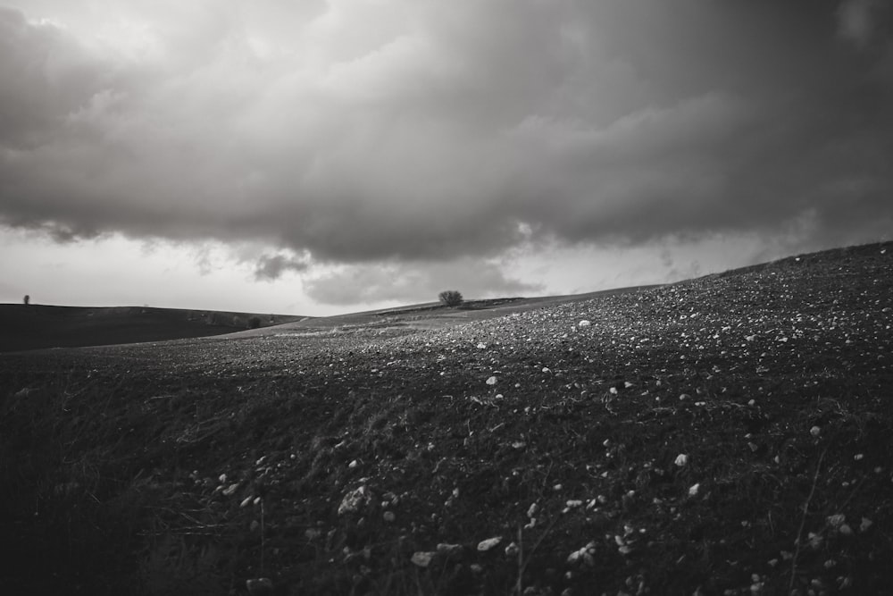 a black and white photo of a grassy hill