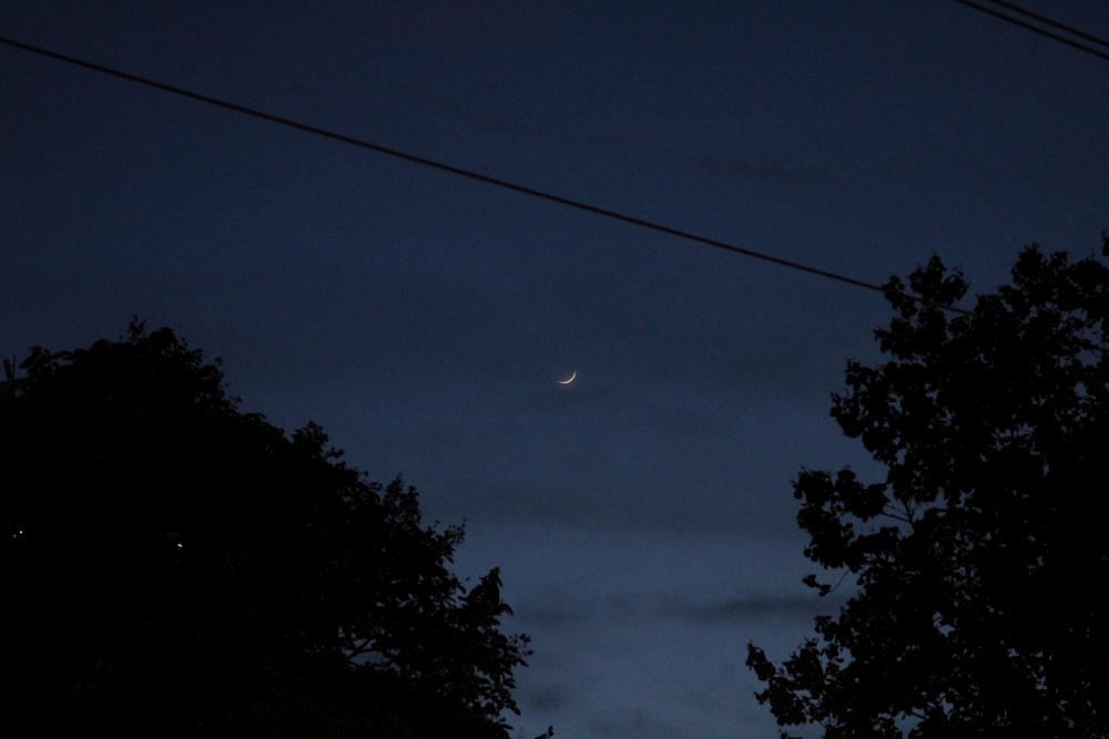 the moon is seen through the trees at night