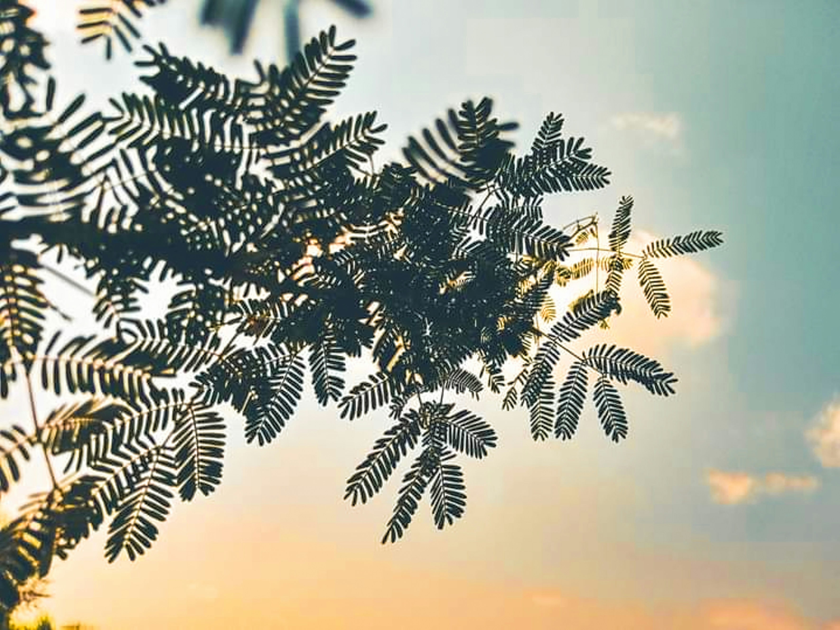 Photo by kamranmazari