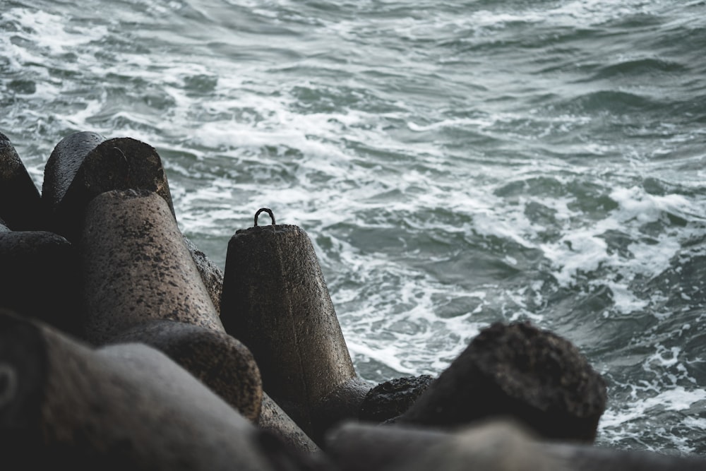 a view of a body of water from a pier