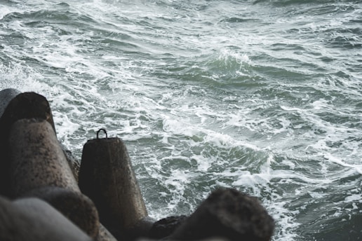a bird sitting on a rock near the ocean