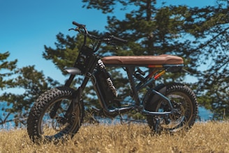 A rugged electric bike with thick tires and a sturdy frame is parked in a grassy area. The bike has a brown padded seat and is situated against a backdrop of trees under a bright blue sky.